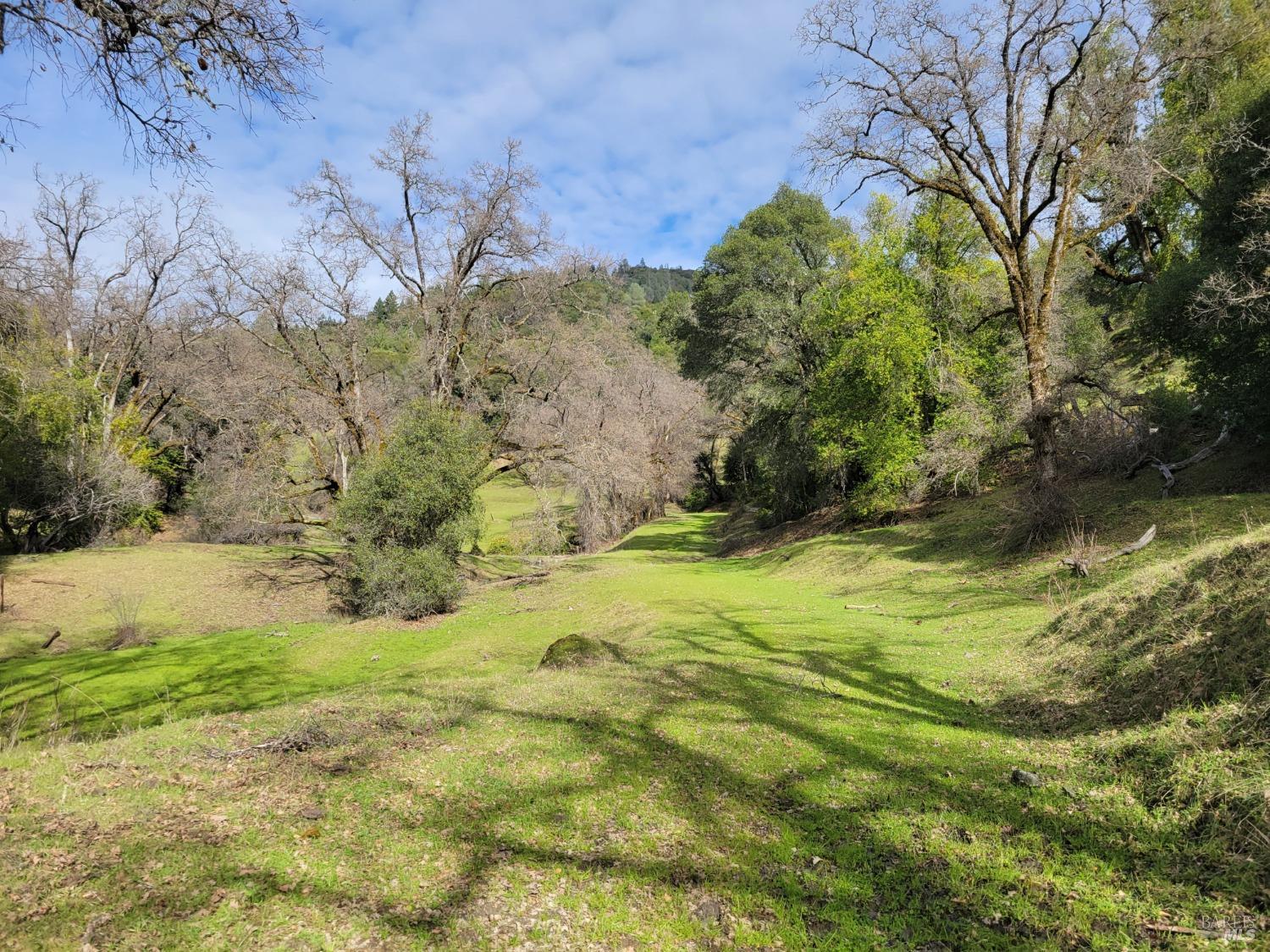 Detail Gallery Image 25 of 50 For 0 Covelo Rd, Willits,  CA 95490 - – Beds | – Baths