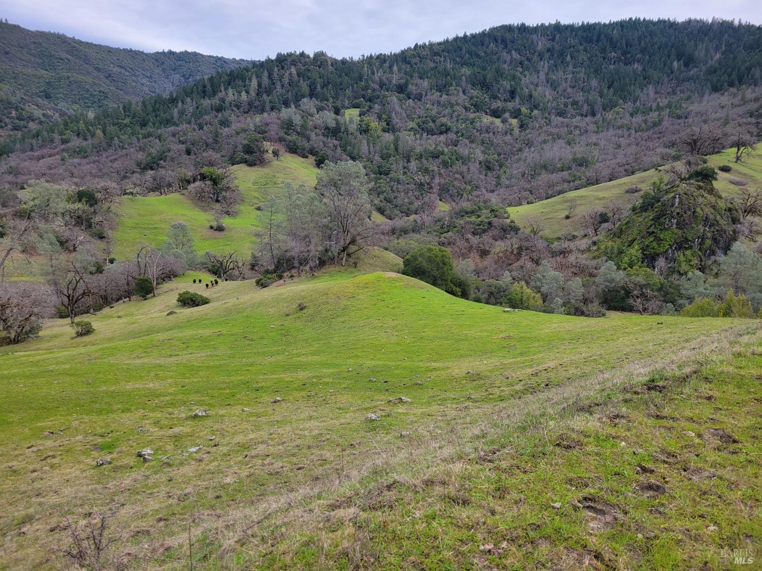 Detail Gallery Image 9 of 50 For 0 Covelo Rd, Willits,  CA 95490 - – Beds | – Baths