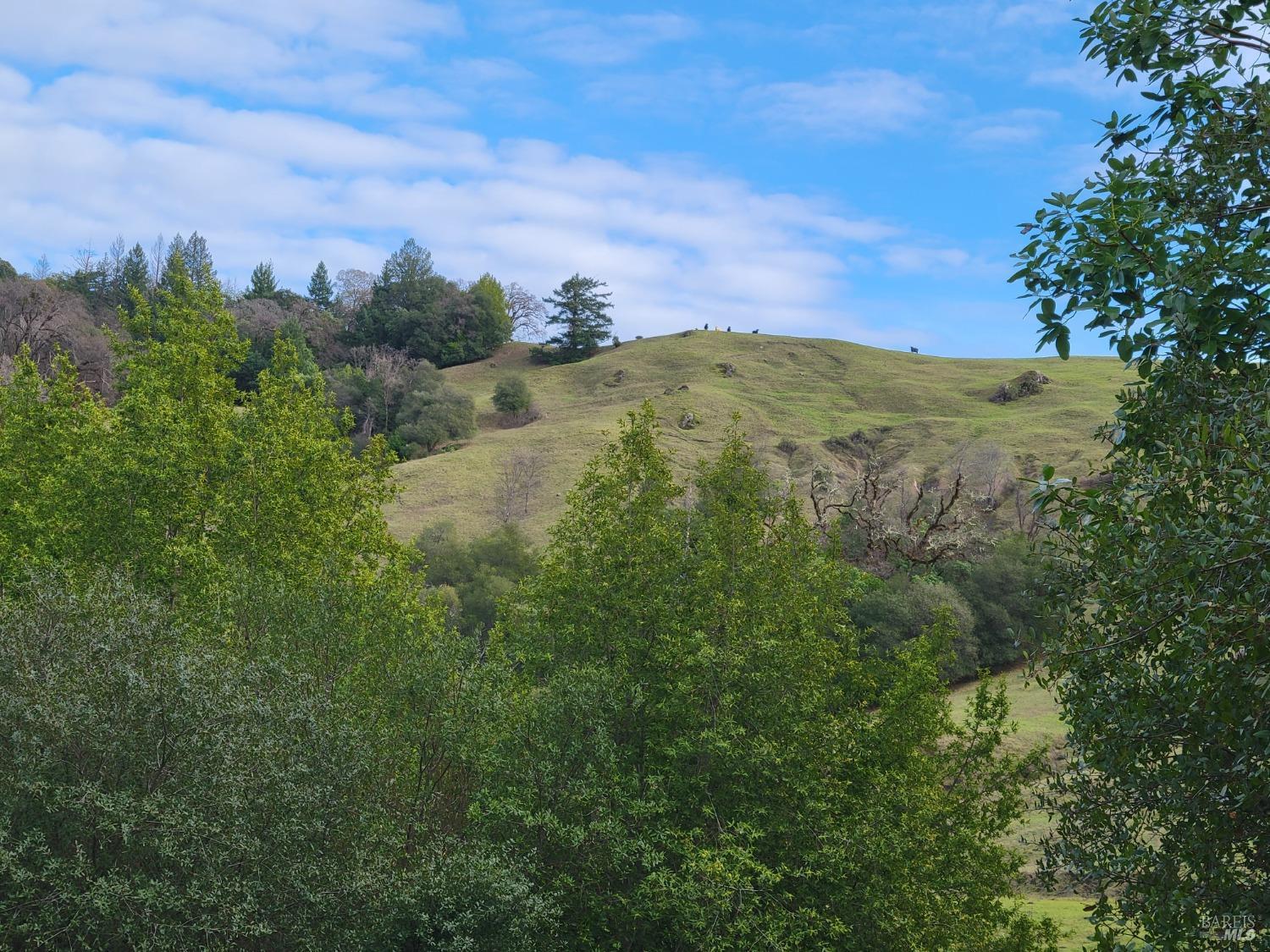 Detail Gallery Image 43 of 50 For 0 Covelo Rd, Willits,  CA 95490 - – Beds | – Baths