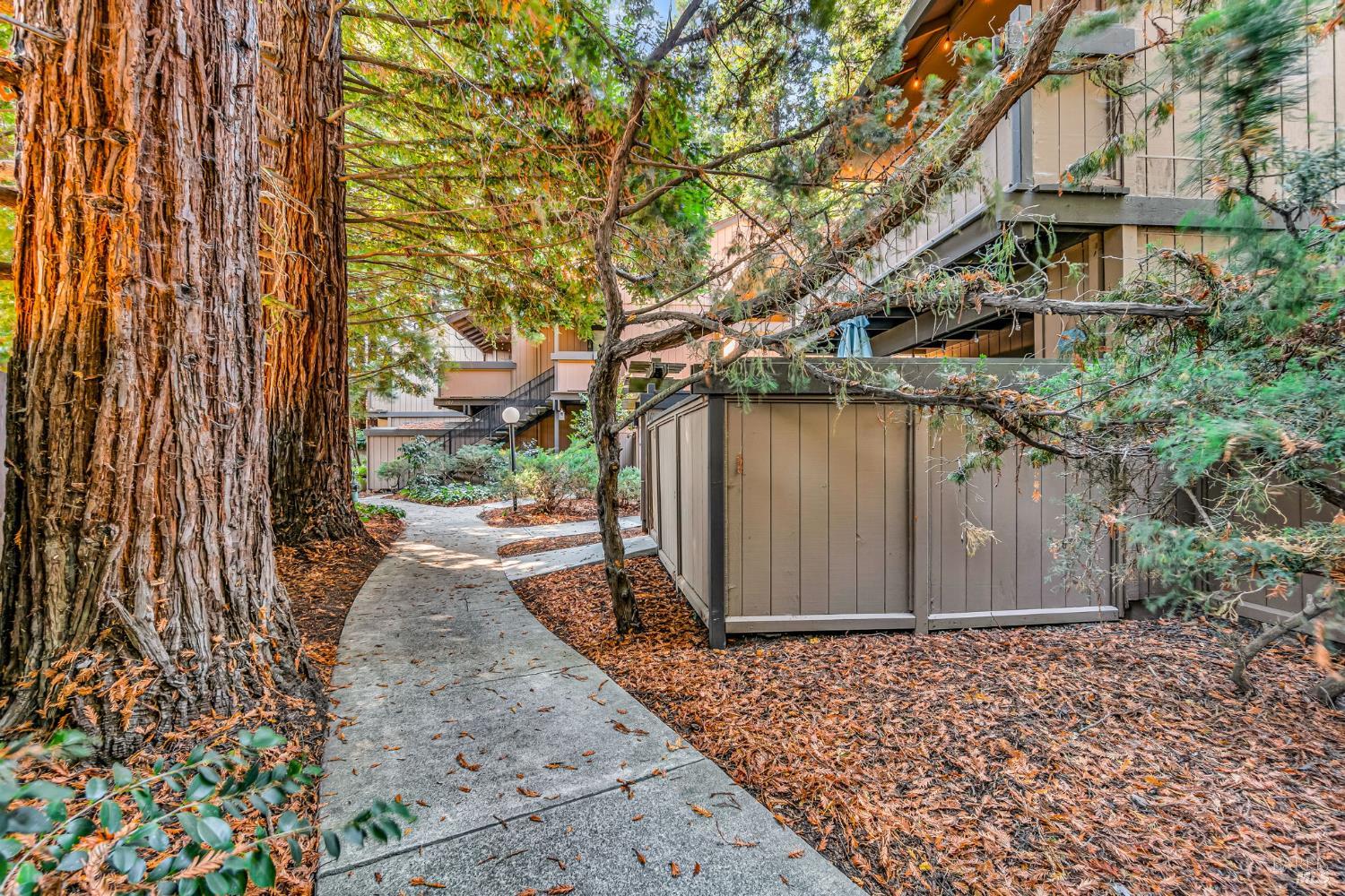 Detail Gallery Image 3 of 34 For 105 Nicholas Ct, Cotati,  CA 94931 - 2 Beds | 1 Baths