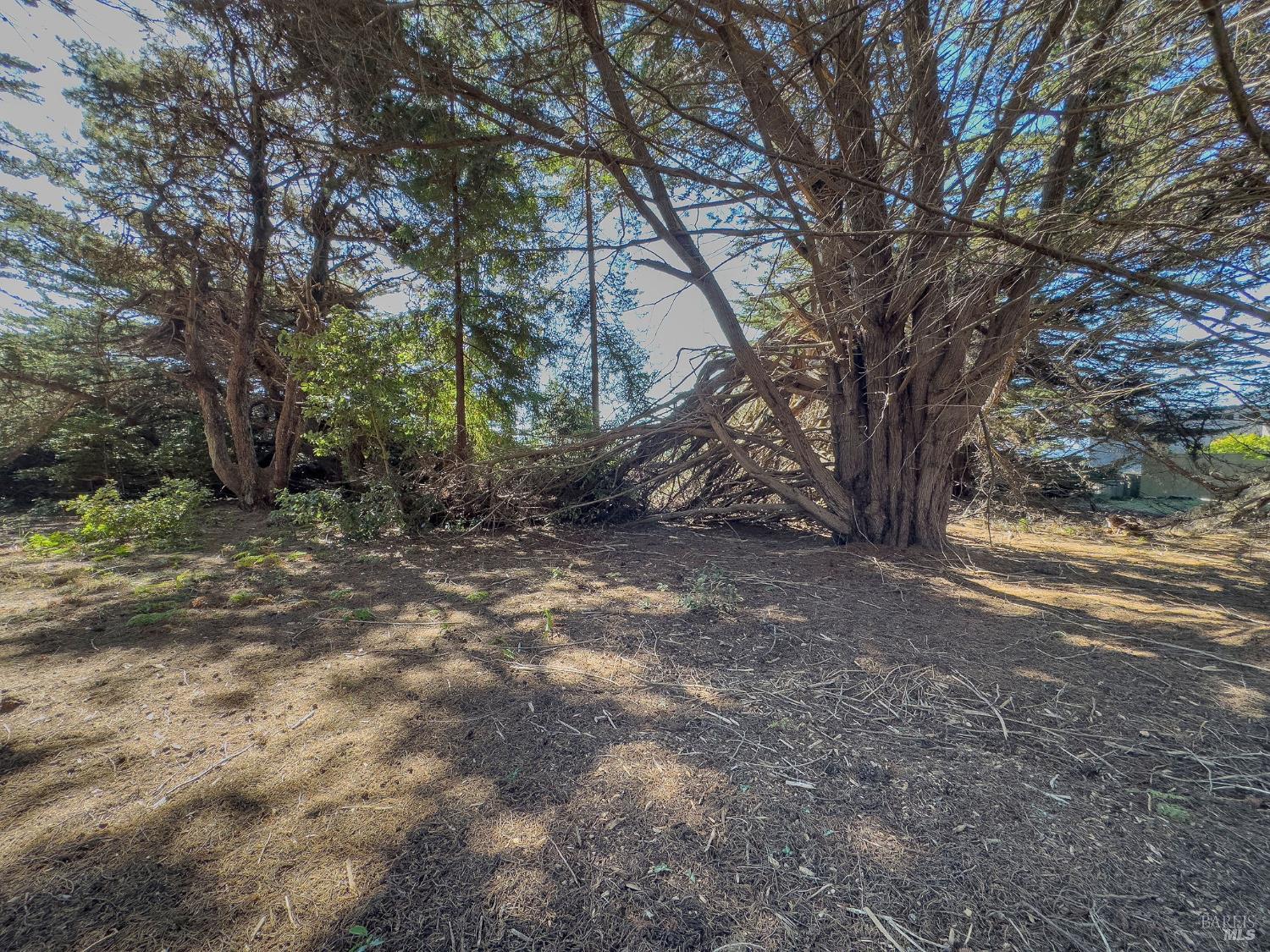 Detail Gallery Image 14 of 35 For 36786 Mariners Dr, The Sea Ranch,  CA 95497 - – Beds | – Baths