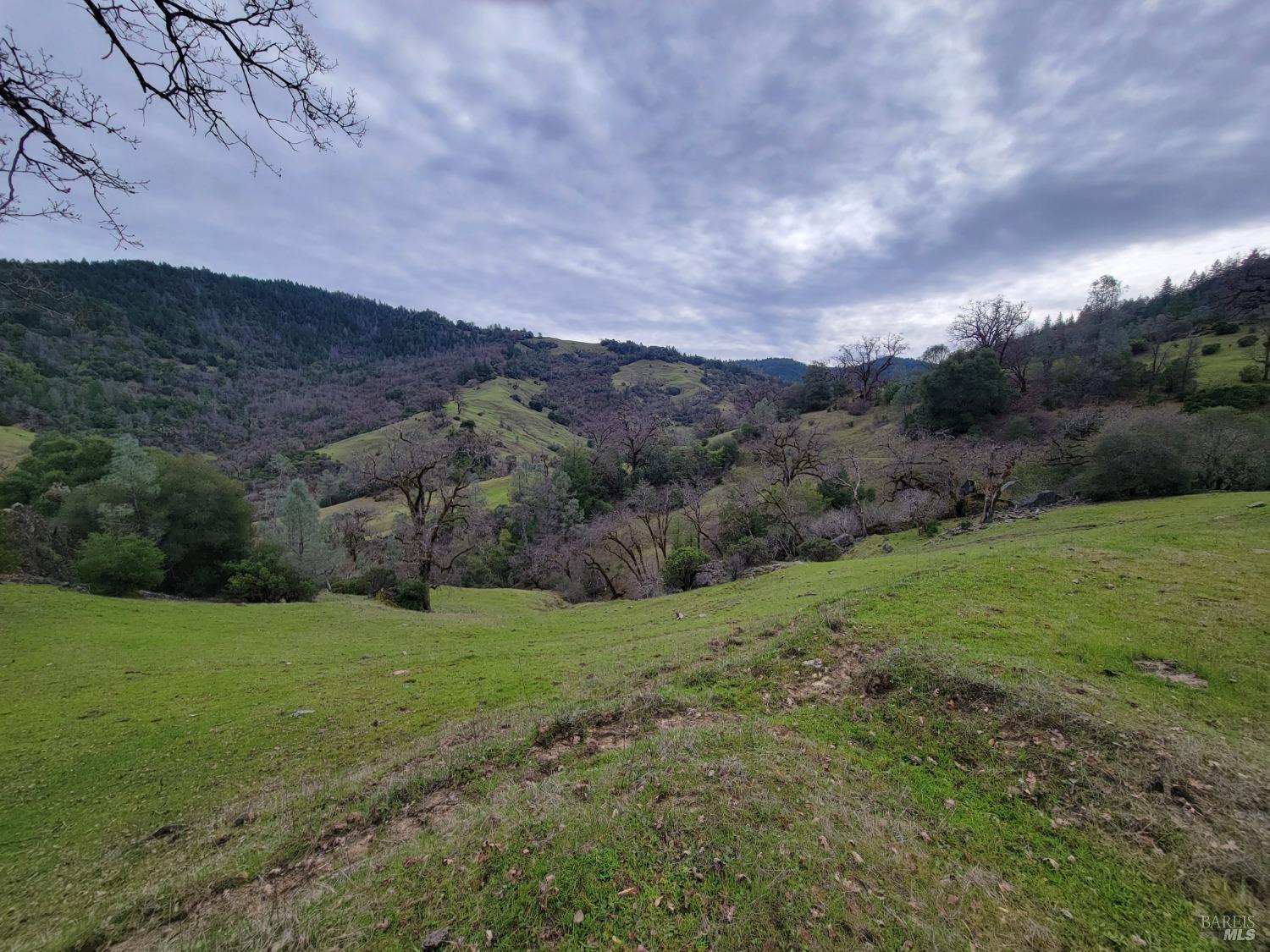 Detail Gallery Image 8 of 50 For 0 Covelo Rd, Willits,  CA 95490 - – Beds | – Baths