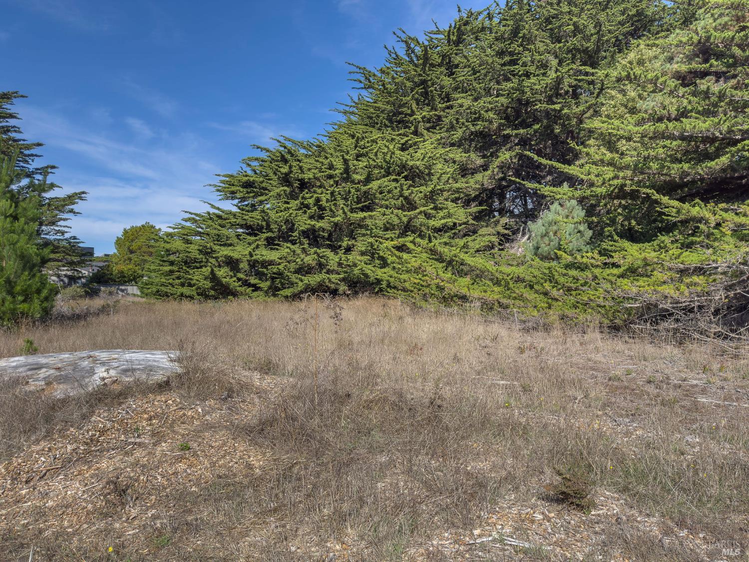 Detail Gallery Image 8 of 35 For 36786 Mariners Dr, The Sea Ranch,  CA 95497 - – Beds | – Baths