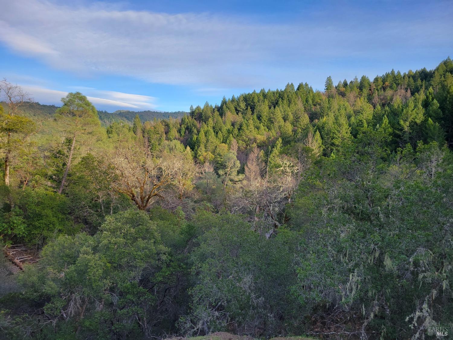 Detail Gallery Image 49 of 50 For 0 Covelo Rd, Willits,  CA 95490 - – Beds | – Baths