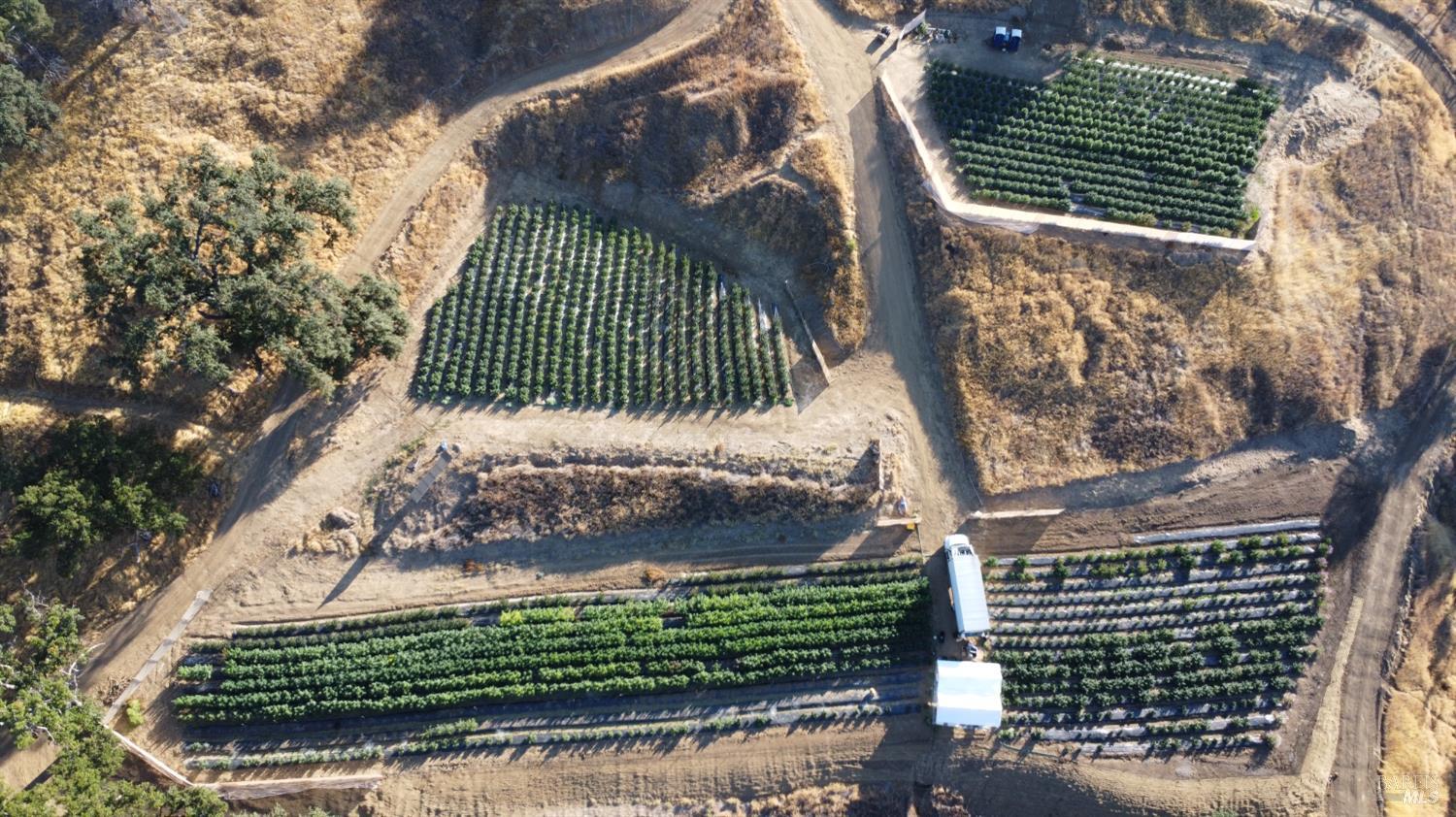 Detail Gallery Image 3 of 26 For Address Is Not Disclosed, Lower Lake,  CA 95457 - – Beds | – Baths