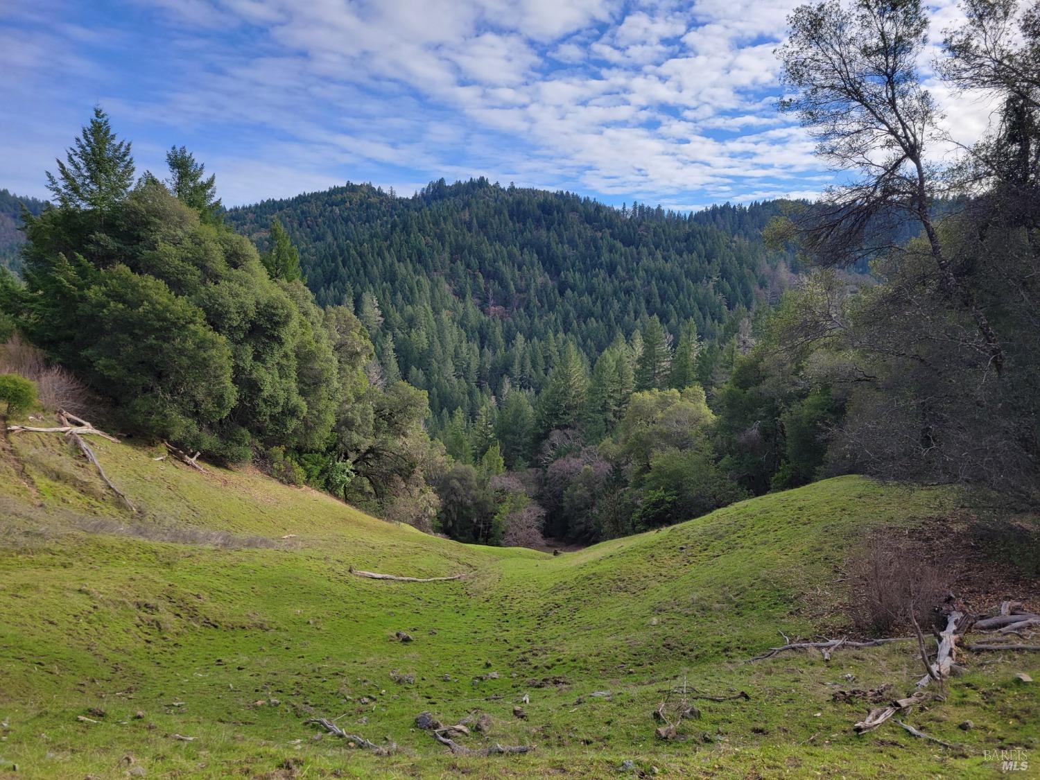 Detail Gallery Image 41 of 50 For 0 Covelo Rd, Willits,  CA 95490 - – Beds | – Baths