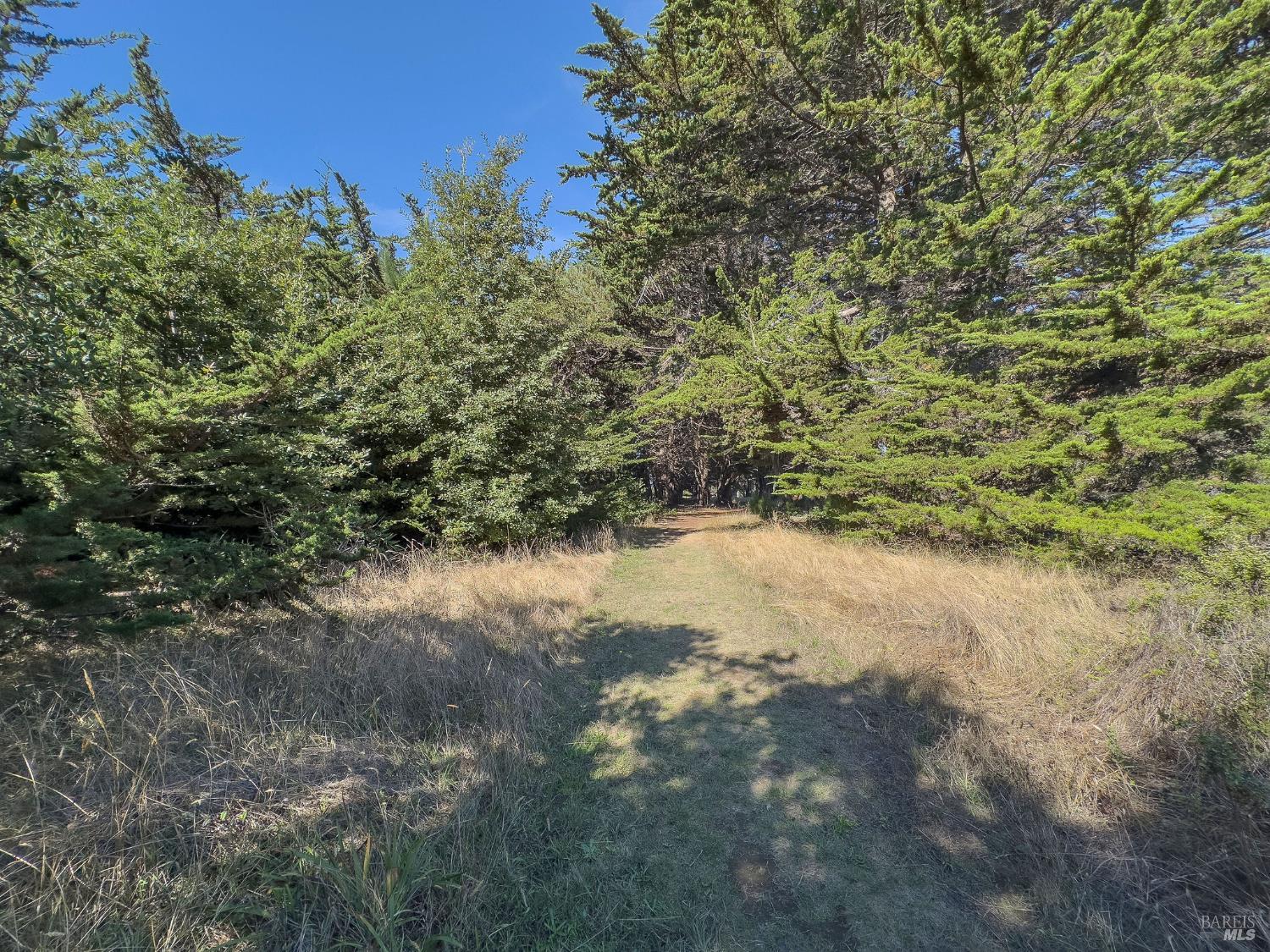 Detail Gallery Image 21 of 35 For 36786 Mariners Dr, The Sea Ranch,  CA 95497 - – Beds | – Baths