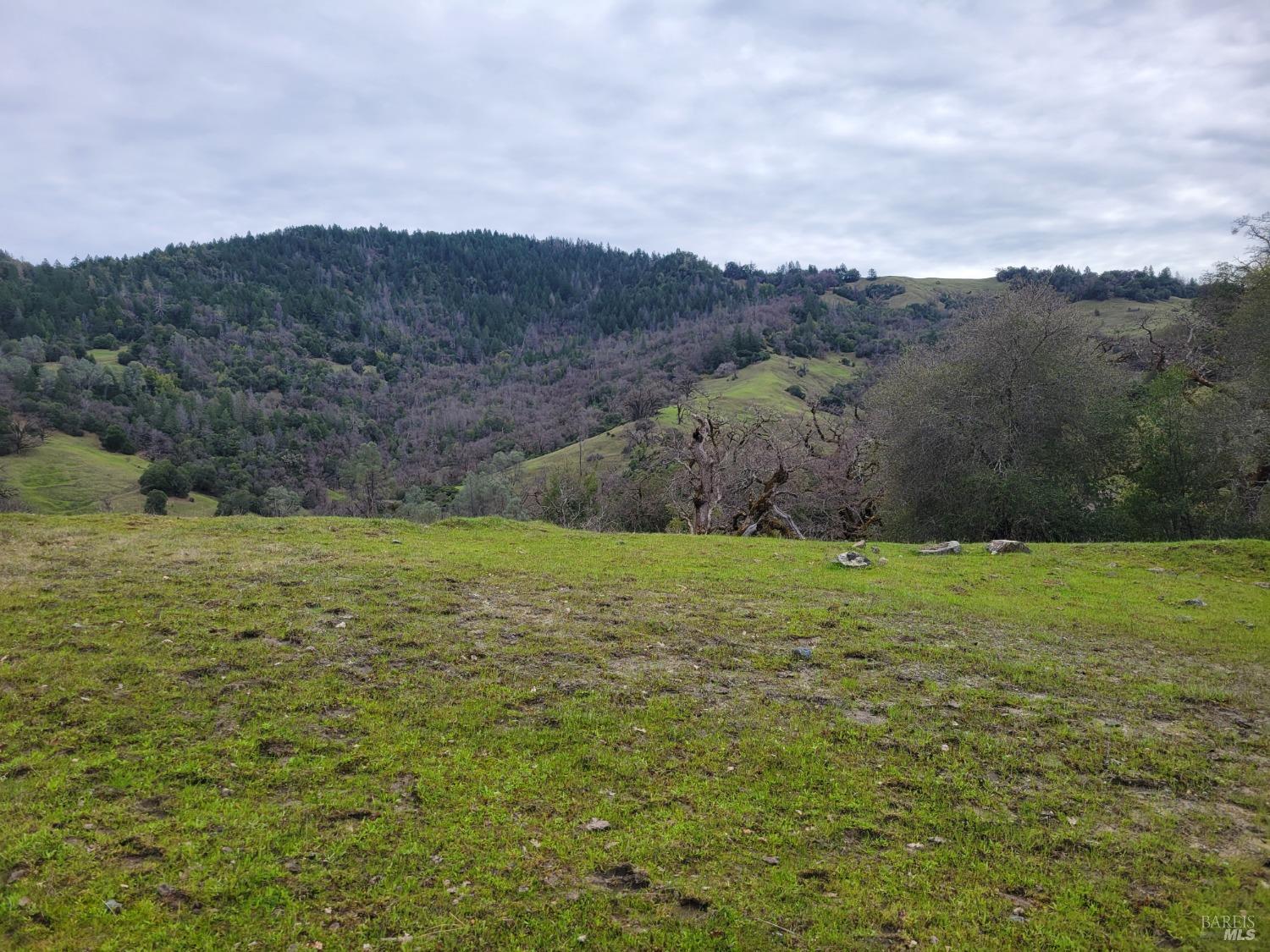 Detail Gallery Image 16 of 50 For 0 Covelo Rd, Willits,  CA 95490 - – Beds | – Baths