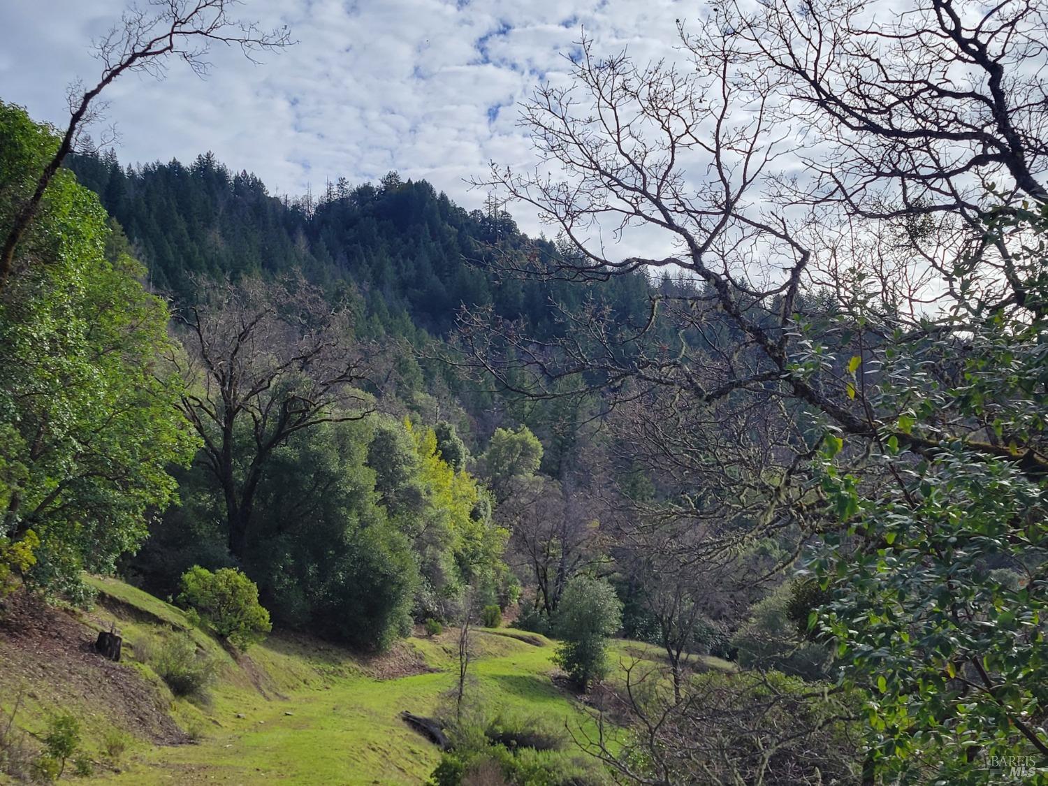 Detail Gallery Image 34 of 50 For 0 Covelo Rd, Willits,  CA 95490 - – Beds | – Baths