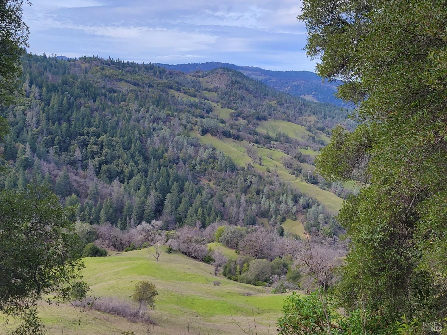 Front Image Thumbnail for BA325090837