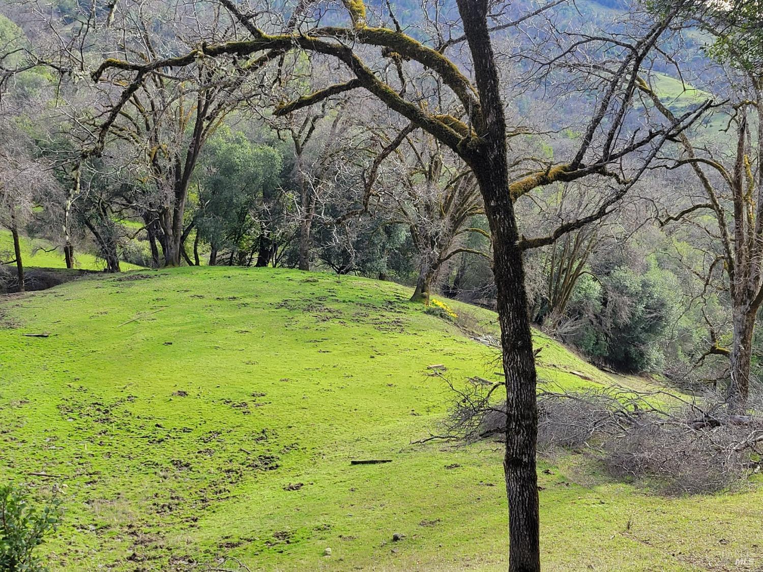 Detail Gallery Image 29 of 50 For 0 Covelo Rd, Willits,  CA 95490 - – Beds | – Baths