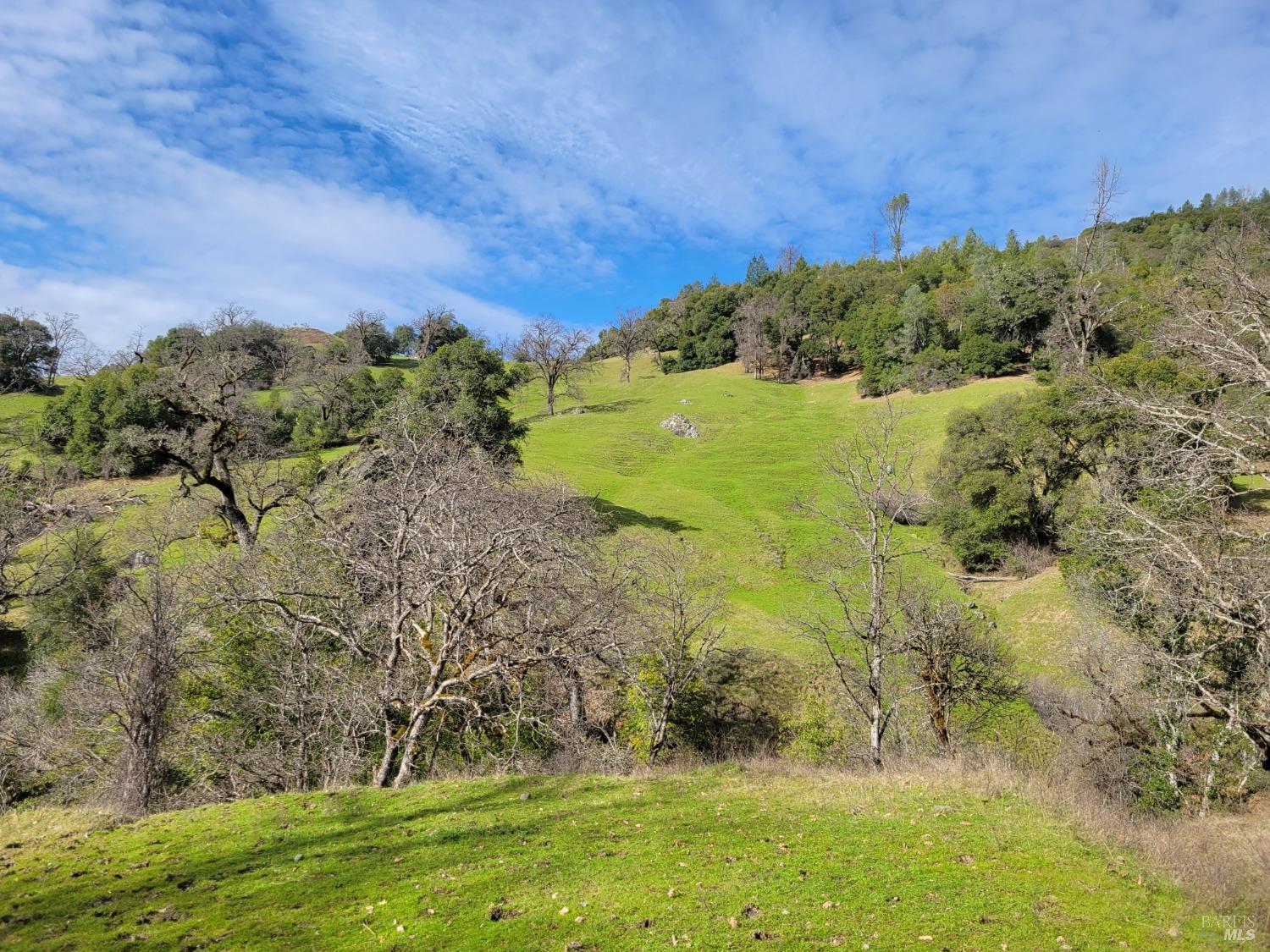 Detail Gallery Image 23 of 50 For 0 Covelo Rd, Willits,  CA 95490 - – Beds | – Baths