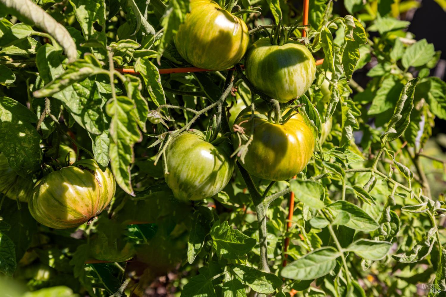 Detail Gallery Image 37 of 39 For 948 Brunello Dr, Santa Rosa,  CA 95407 - 4 Beds | 3 Baths