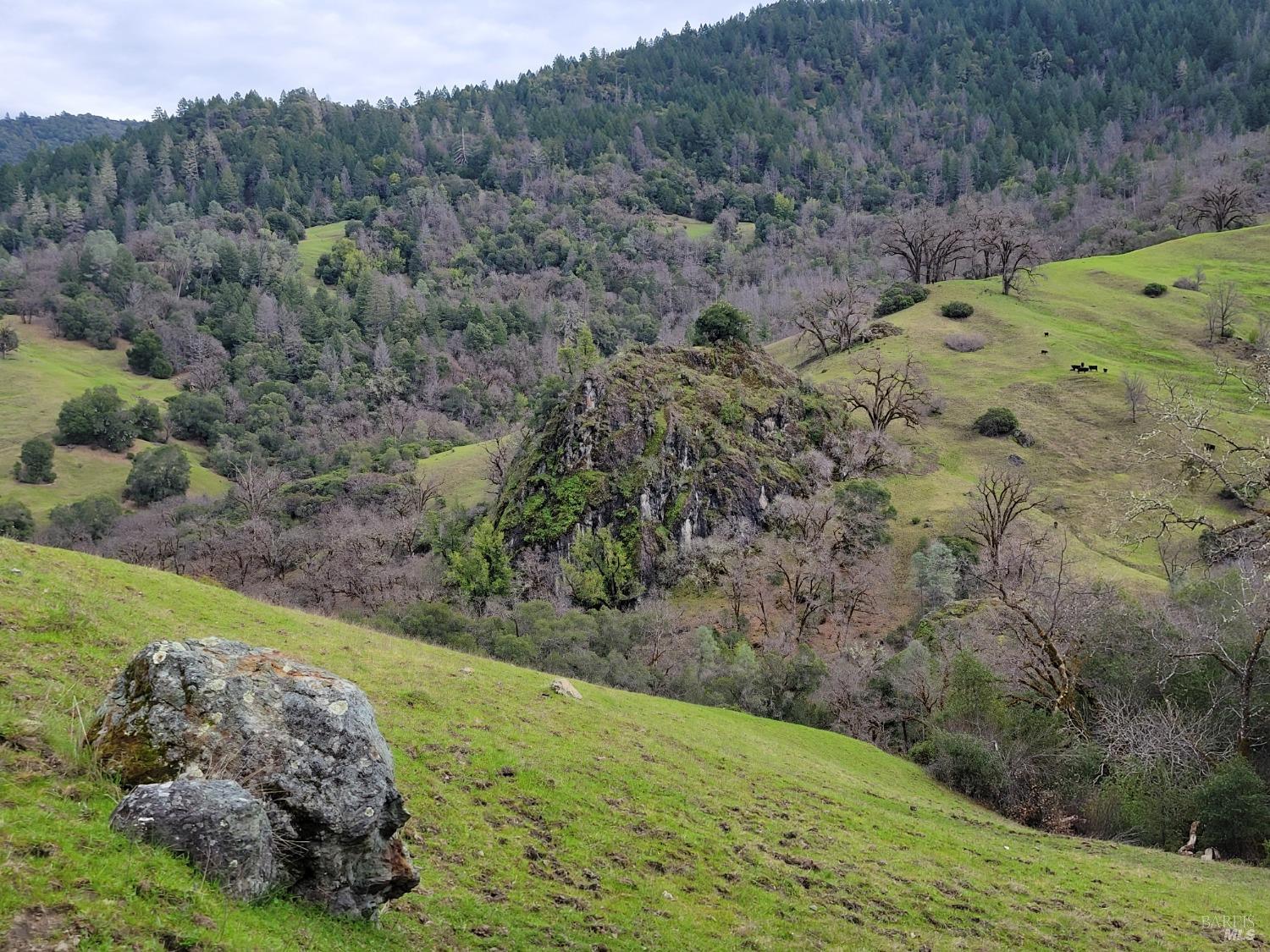 Detail Gallery Image 10 of 50 For 0 Covelo Rd, Willits,  CA 95490 - – Beds | – Baths