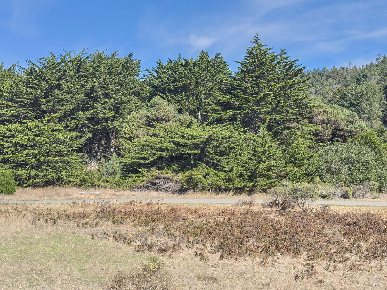 Detail Gallery Image 26 of 35 For 36786 Mariners Dr, The Sea Ranch,  CA 95497 - – Beds | – Baths