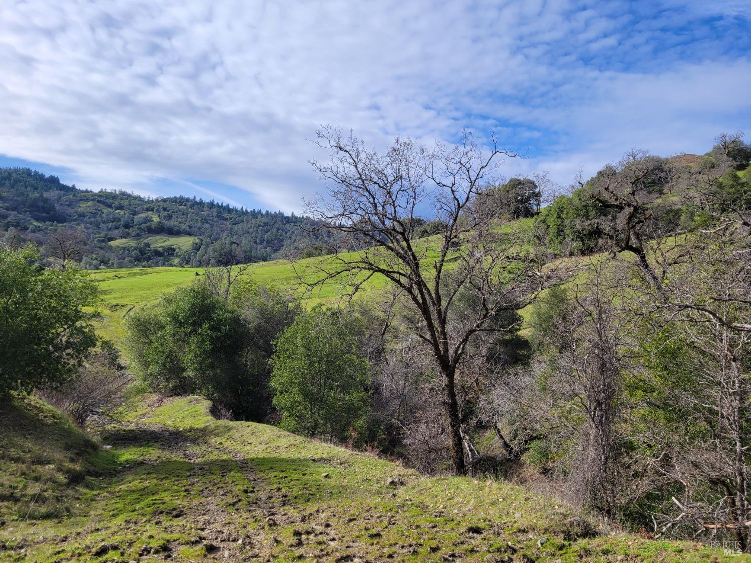 Detail Gallery Image 24 of 50 For 0 Covelo Rd, Willits,  CA 95490 - – Beds | – Baths