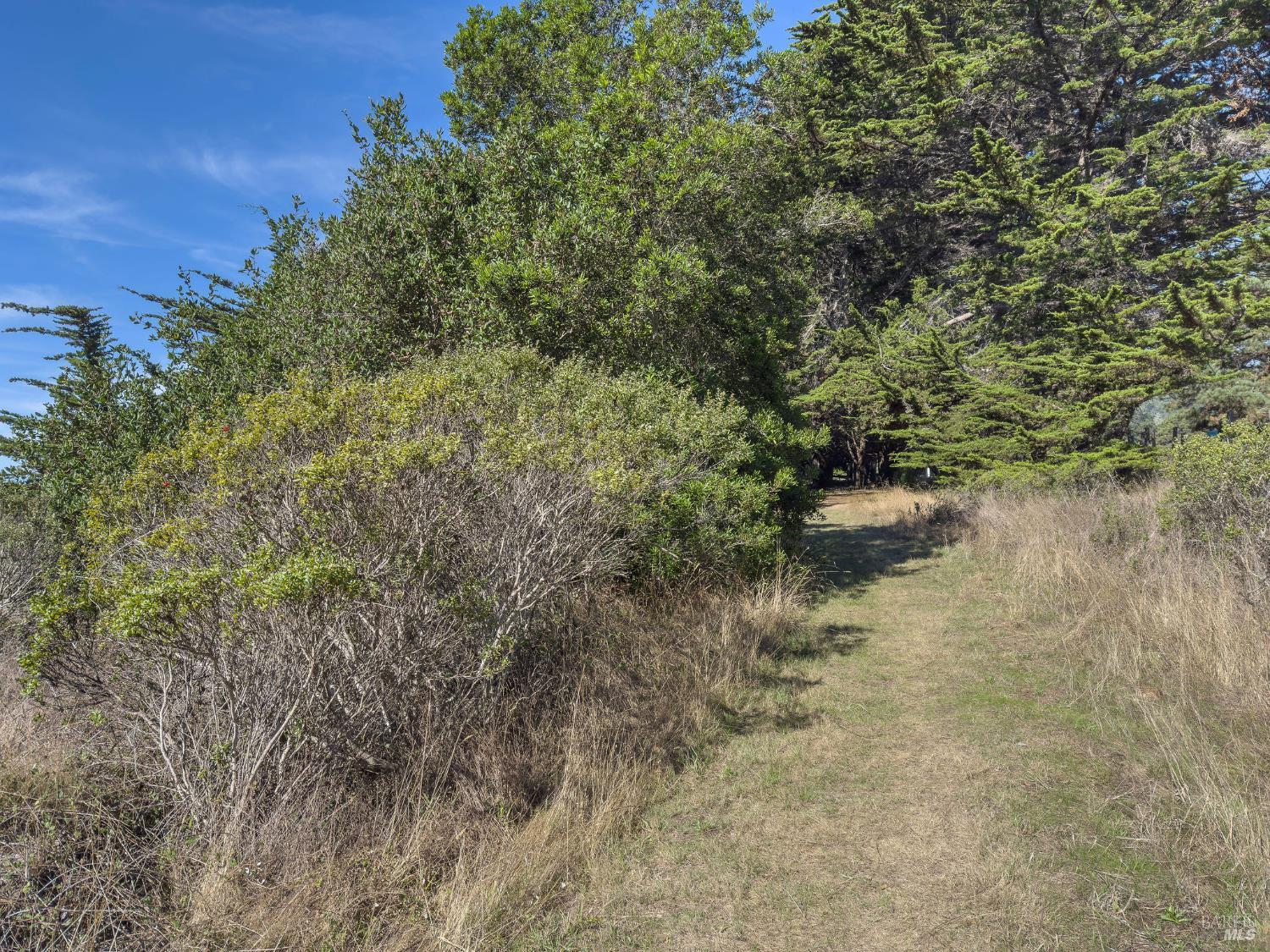 Detail Gallery Image 9 of 35 For 36786 Mariners Dr, The Sea Ranch,  CA 95497 - – Beds | – Baths