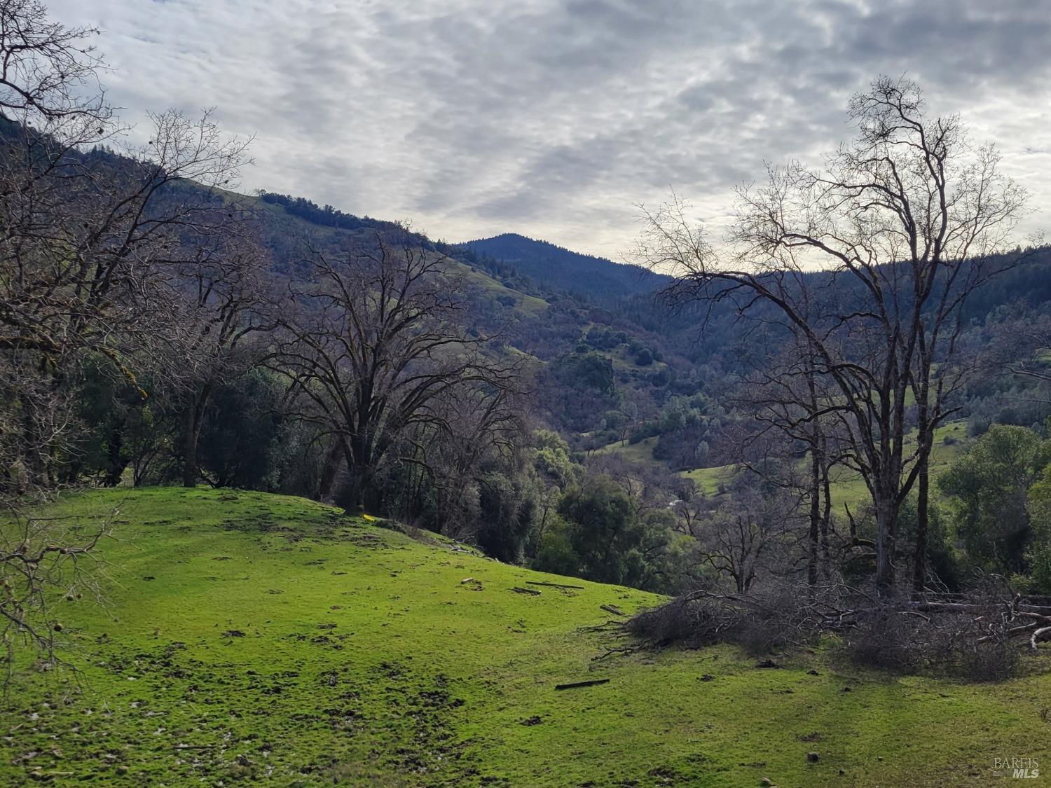 Detail Gallery Image 30 of 50 For 0 Covelo Rd, Willits,  CA 95490 - – Beds | – Baths