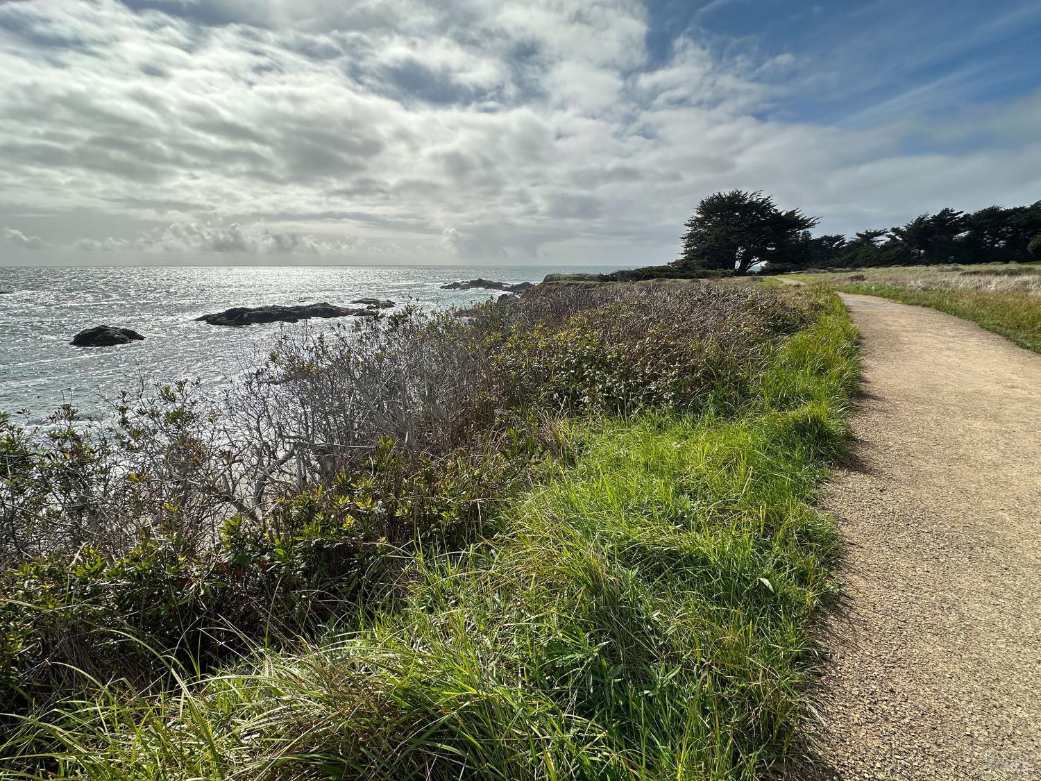 Detail Gallery Image 38 of 60 For 39271 Pacific Reach Rd, The Sea Ranch,  CA 95497 - 2 Beds | 2 Baths