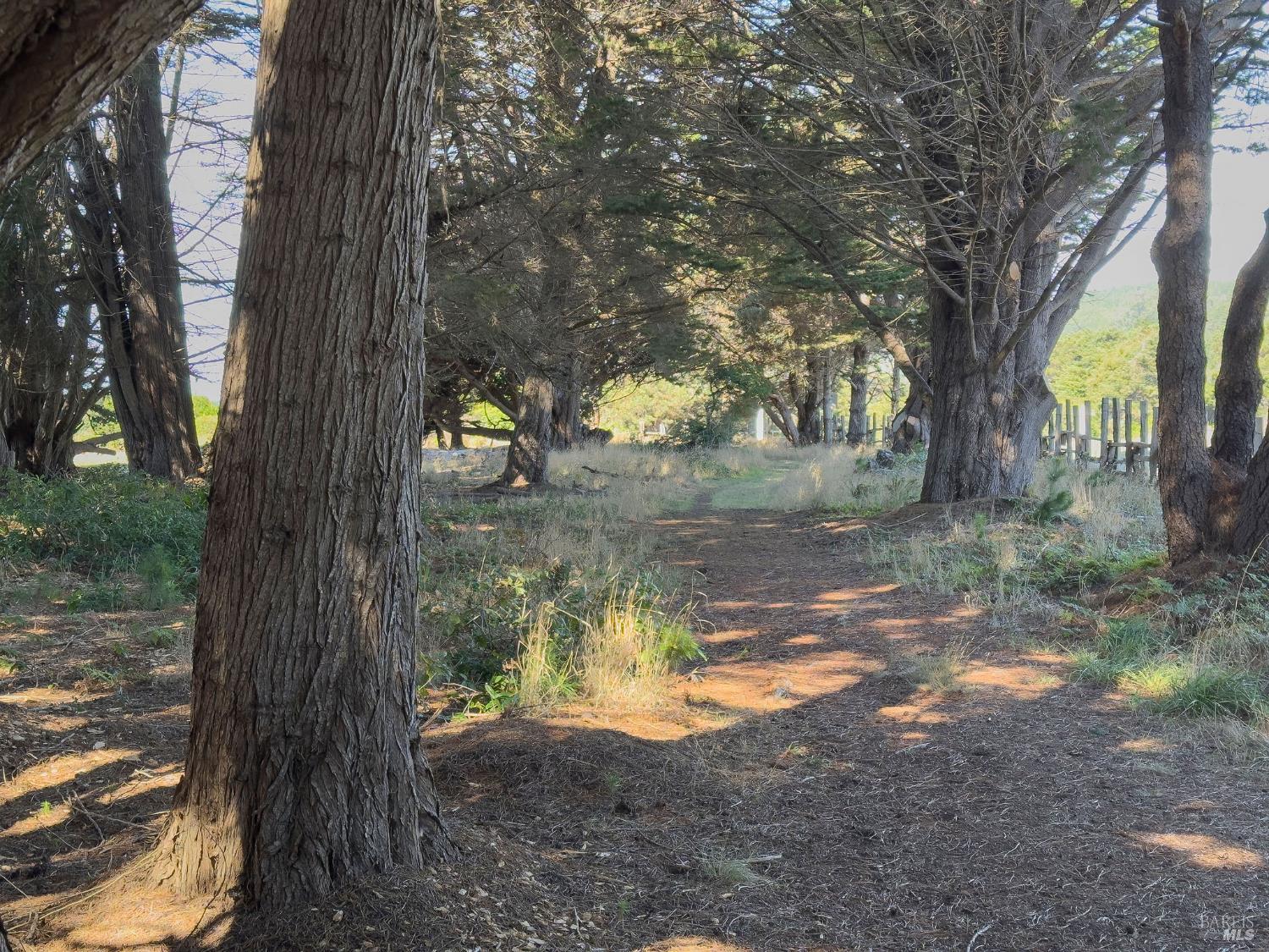 Detail Gallery Image 20 of 35 For 36786 Mariners Dr, The Sea Ranch,  CA 95497 - – Beds | – Baths