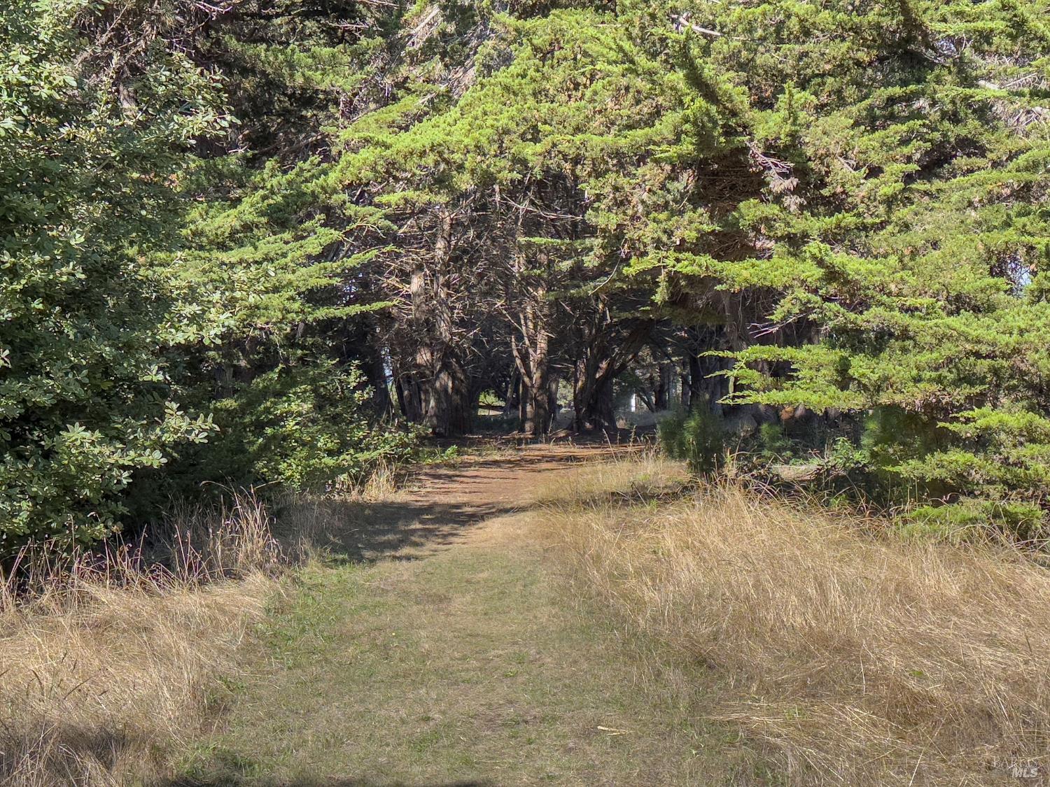 Detail Gallery Image 11 of 35 For 36786 Mariners Dr, The Sea Ranch,  CA 95497 - – Beds | – Baths