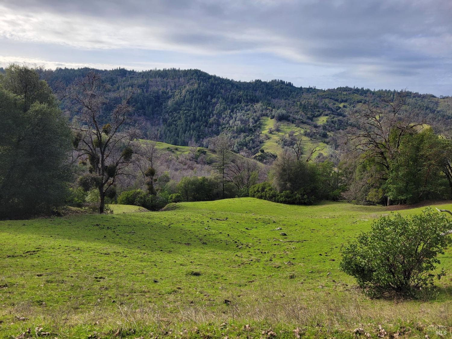 Detail Gallery Image 35 of 50 For 0 Covelo Rd, Willits,  CA 95490 - – Beds | – Baths