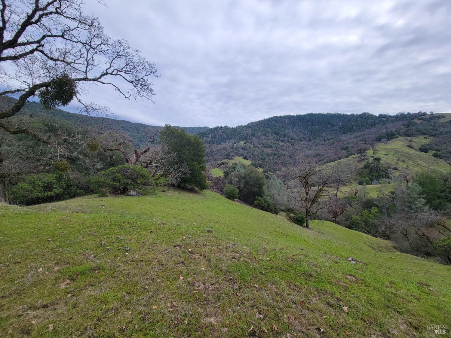 Detail Gallery Image 15 of 50 For 0 Covelo Rd, Willits,  CA 95490 - – Beds | – Baths