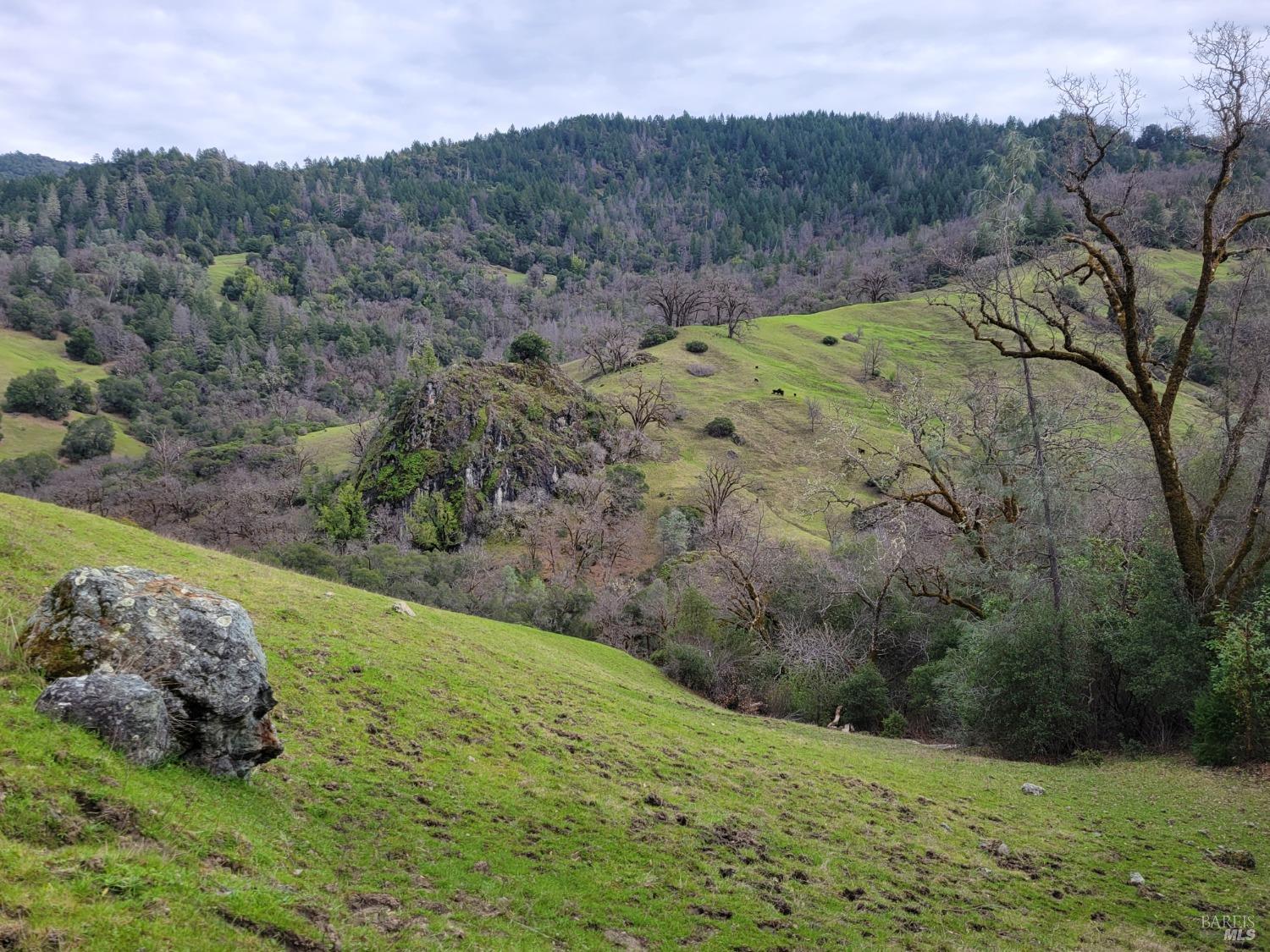 Detail Gallery Image 11 of 50 For 0 Covelo Rd, Willits,  CA 95490 - – Beds | – Baths