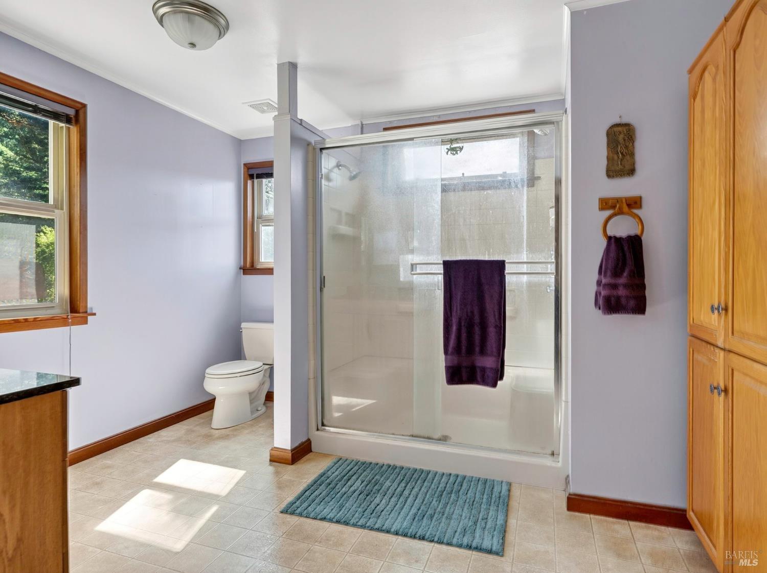 Detail Gallery Image 17 of 32 For 65235 Hwy 271 Hwy, Leggett,  CA 95585 - 3 Beds | 2 Baths