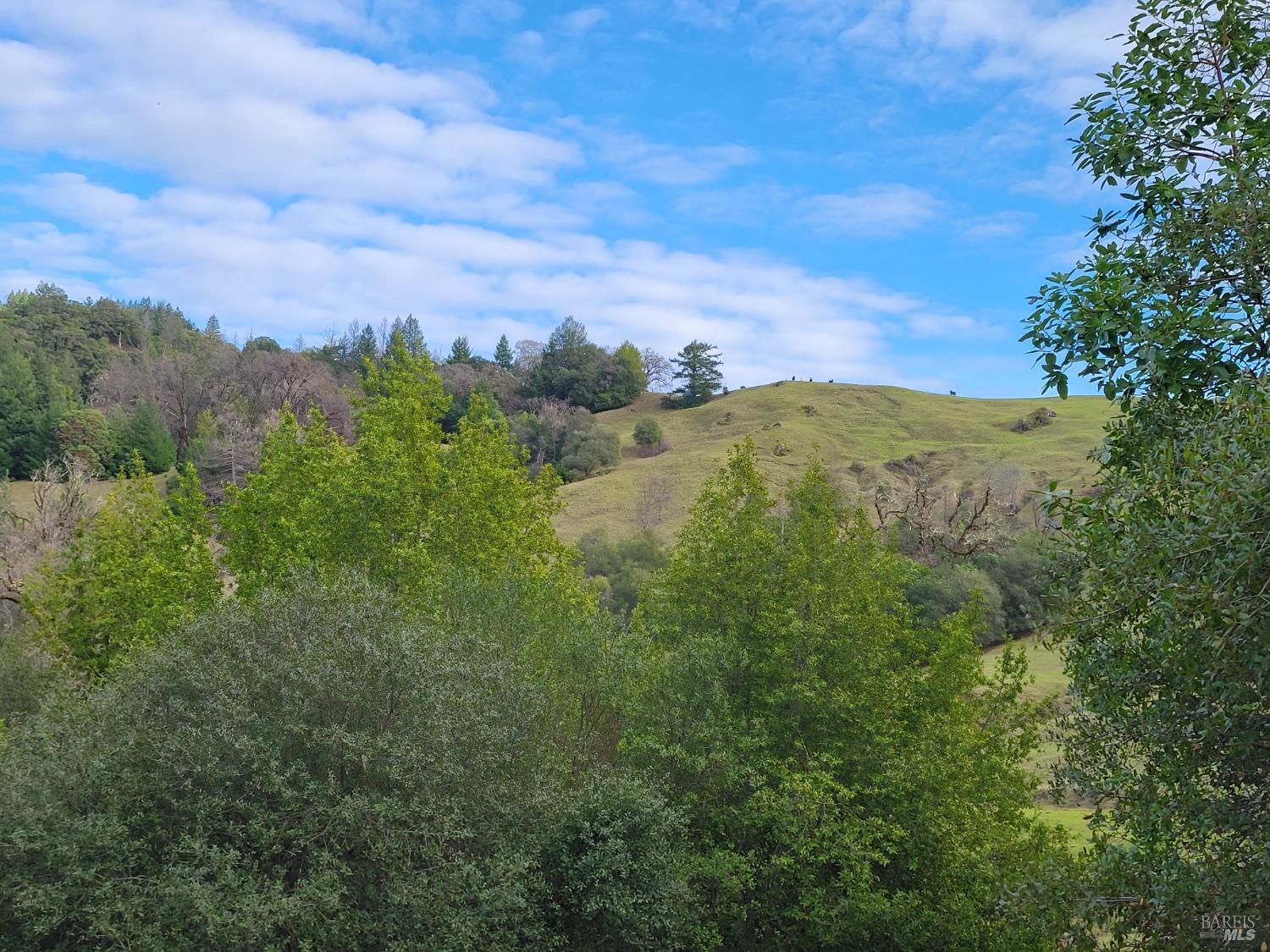 Detail Gallery Image 45 of 50 For 0 Covelo Rd, Willits,  CA 95490 - – Beds | – Baths