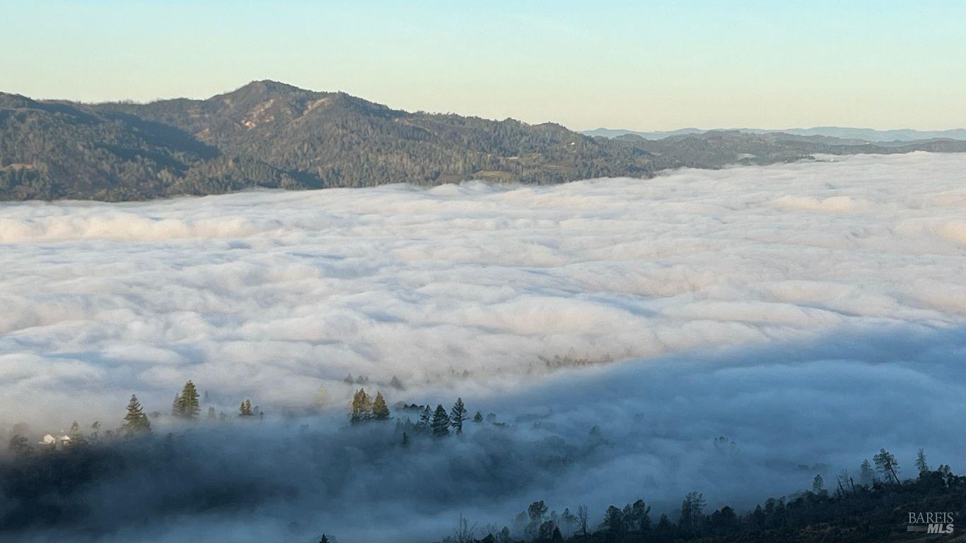 Detail Gallery Image 38 of 52 For 1180 Crestmont Dr, Angwin,  CA 94508 - 4 Beds | 3 Baths