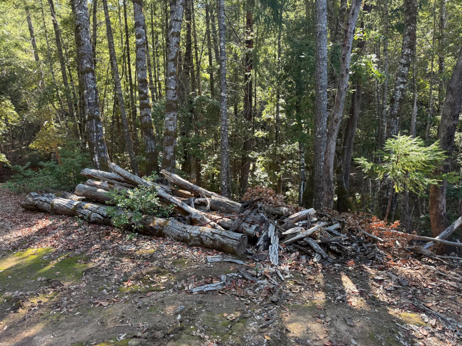 Detail Gallery Image 10 of 14 For 59540 Bell Springs Rd, Laytonville,  CA 95454 - – Beds | – Baths