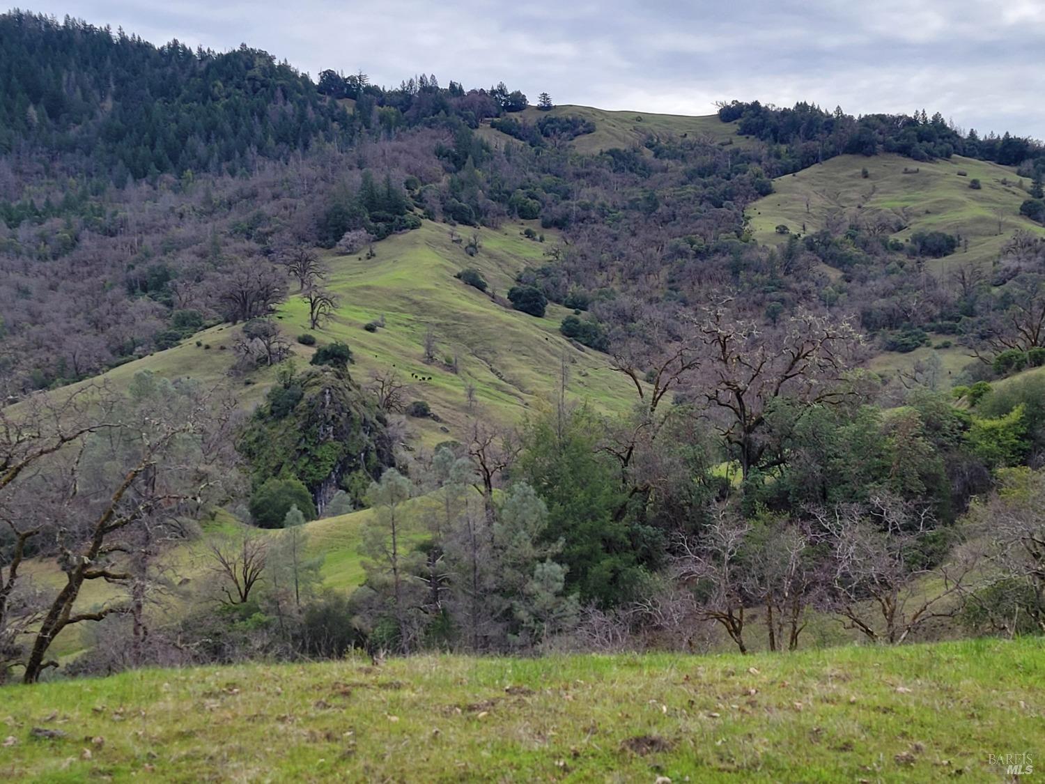 Detail Gallery Image 4 of 50 For 0 Covelo Rd, Willits,  CA 95490 - – Beds | – Baths