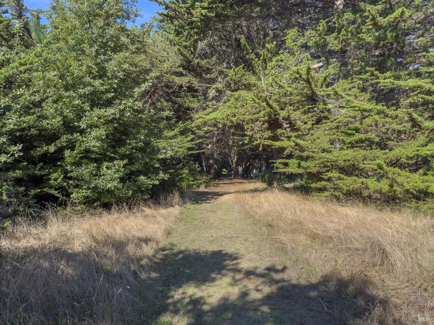 Detail Gallery Image 10 of 35 For 36786 Mariners Dr, The Sea Ranch,  CA 95497 - – Beds | – Baths