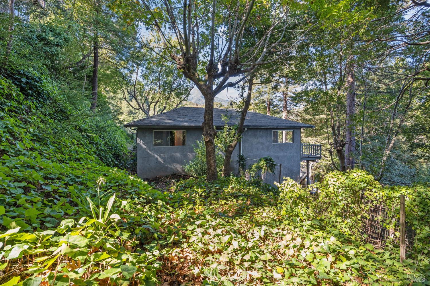 Detail Gallery Image 37 of 47 For 129 Piedmont Ct, Larkspur,  CA 94939 - 3 Beds | 2 Baths