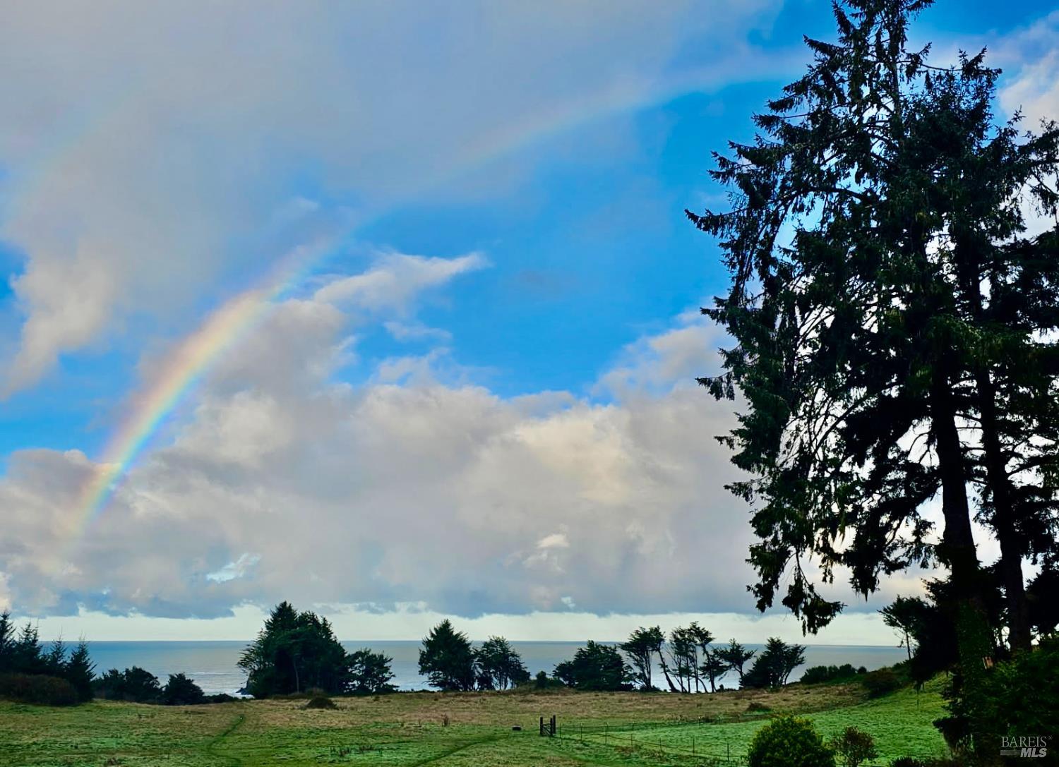 Detail Gallery Image 8 of 15 For 760 Stagecoach Rd, Trinidad,  CA 95570 - 3 Beds | 1 Baths