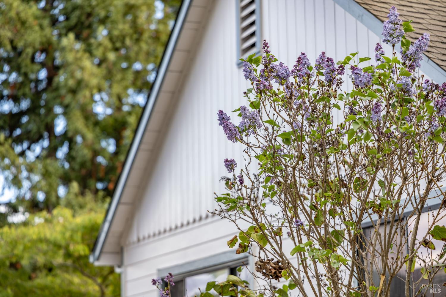 Detail Gallery Image 21 of 21 For 377 Maple Ave, Cotati,  CA 94931 - 4 Beds | 2/1 Baths