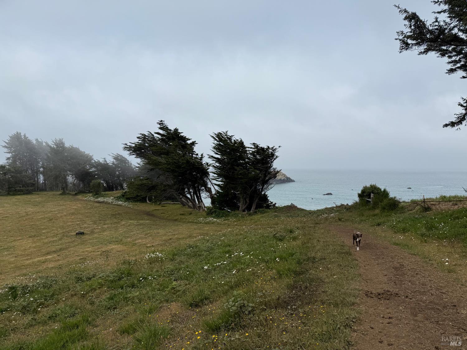 Detail Gallery Image 15 of 15 For 760 Stagecoach Rd, Trinidad,  CA 95570 - 3 Beds | 1 Baths