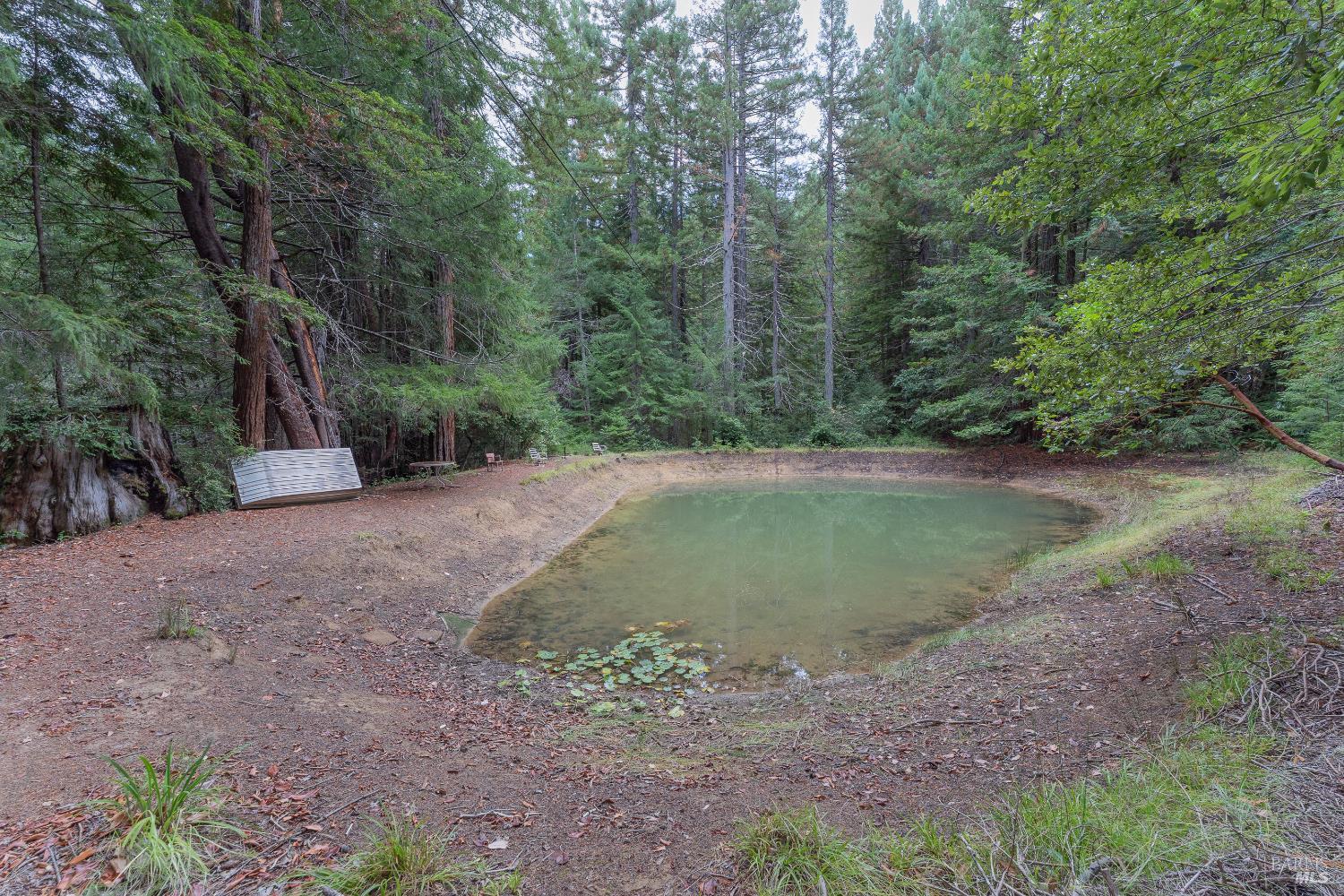 Detail Gallery Image 46 of 52 For 30651 Timberline Rd, Willits,  CA 95490 - 1 Beds | 1 Baths