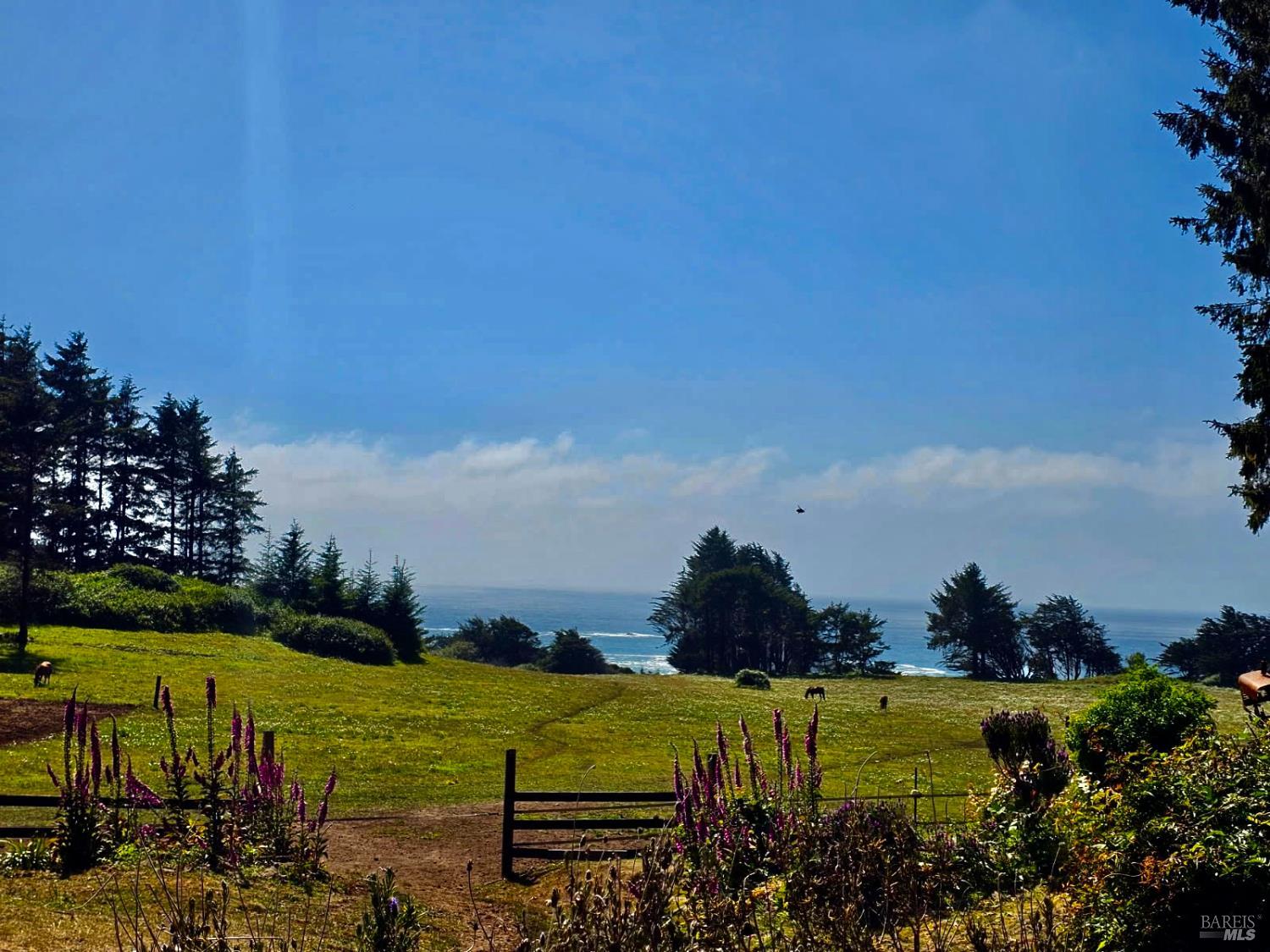 Detail Gallery Image 7 of 15 For 760 Stagecoach Rd, Trinidad,  CA 95570 - 3 Beds | 1 Baths