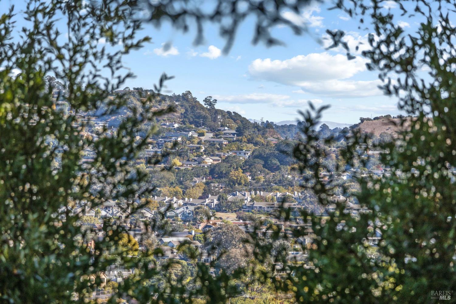 Detail Gallery Image 30 of 47 For 129 Piedmont Ct, Larkspur,  CA 94939 - 3 Beds | 2 Baths