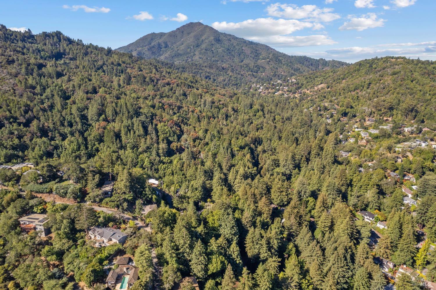 Detail Gallery Image 42 of 47 For 129 Piedmont Ct, Larkspur,  CA 94939 - 3 Beds | 2 Baths