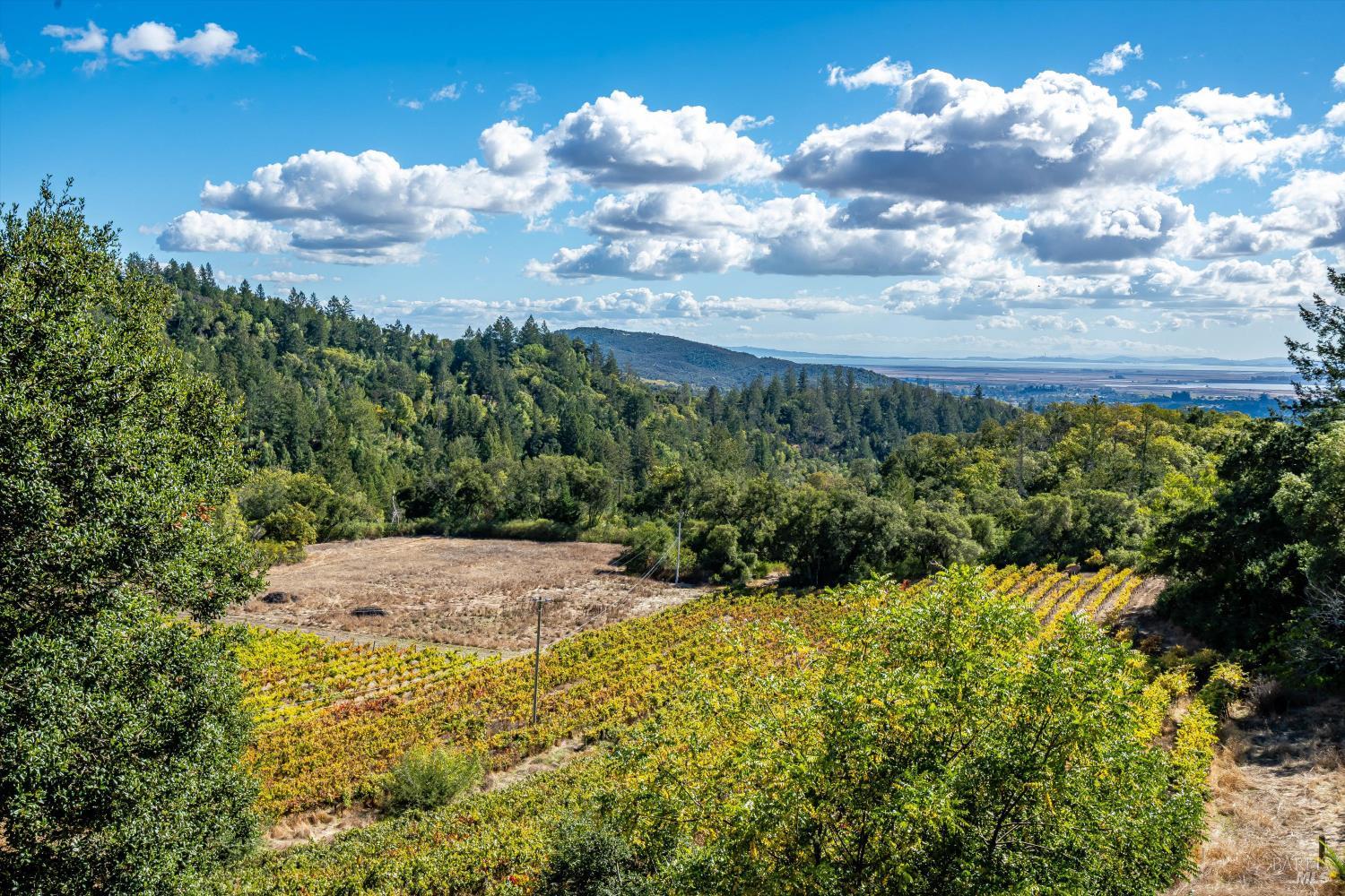 Detail Gallery Image 40 of 42 For 3200 Castle Rd, Sonoma,  CA 95476 - 6 Beds | 4 Baths