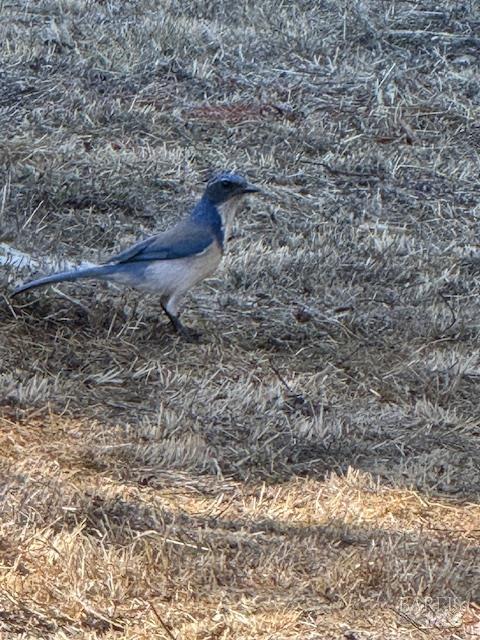 Detail Gallery Image 41 of 66 For 23 Valley View Ct, El Sobrante,  CA 94803 - 3 Beds | 2 Baths