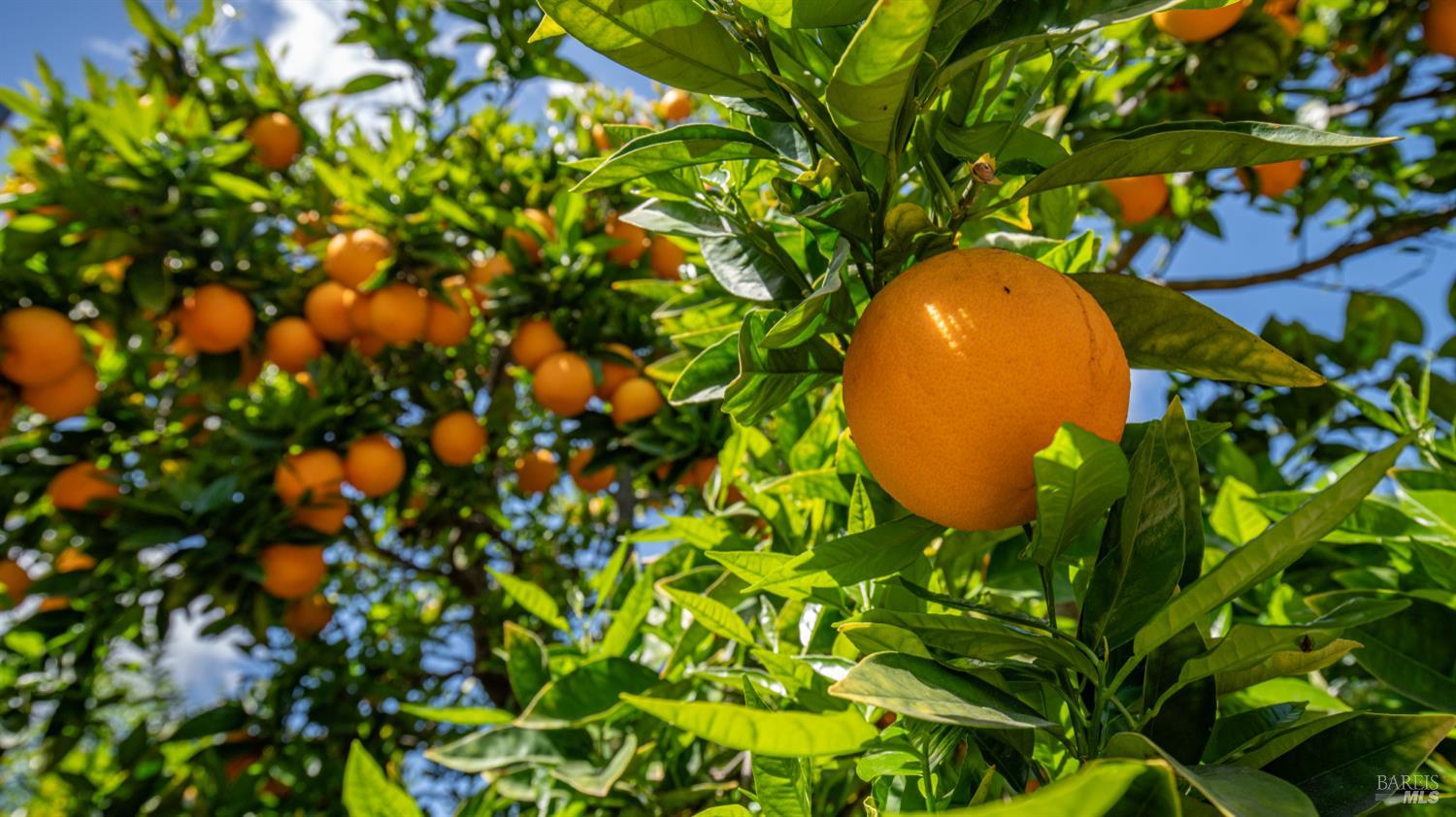 Detail Gallery Image 34 of 37 For 2571 Sunrise Dr, Fairfield,  CA 94533 - 4 Beds | 2 Baths