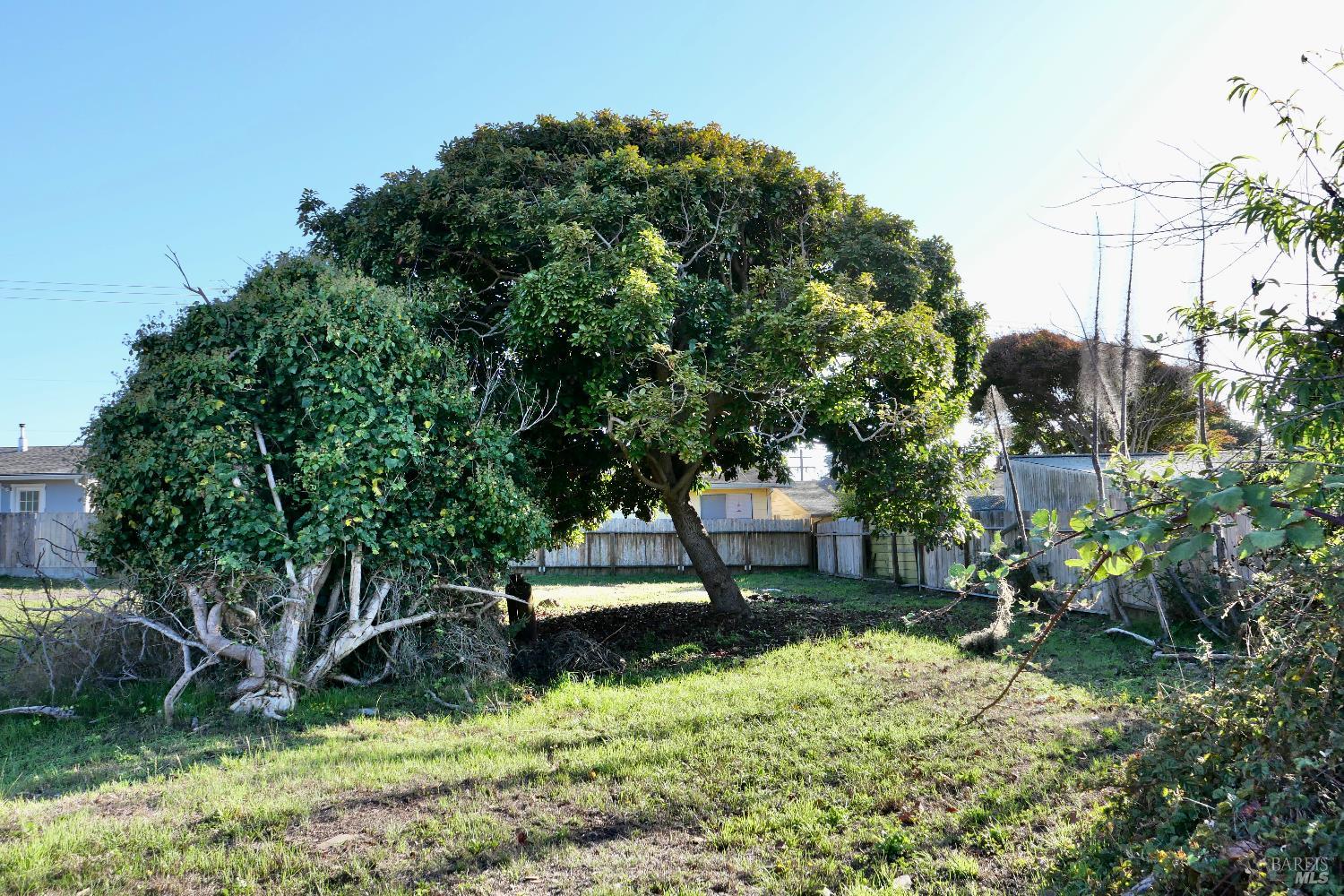 Detail Gallery Image 19 of 20 For 575 S Whipple St, Fort Bragg,  CA 95437 - 3 Beds | 2 Baths