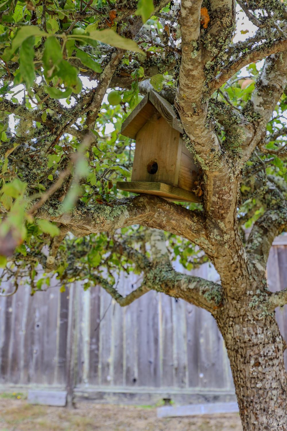 Detail Gallery Image 63 of 74 For 31600 Little Valley Rd, Fort Bragg,  CA 95437 - 3 Beds | 2 Baths
