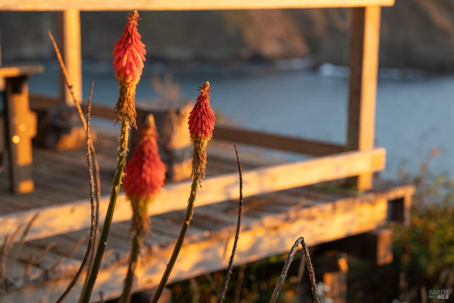 Detail Gallery Image 34 of 97 For Address Is Not Disclosed, Albion,  CA 95410 - – Beds | – Baths