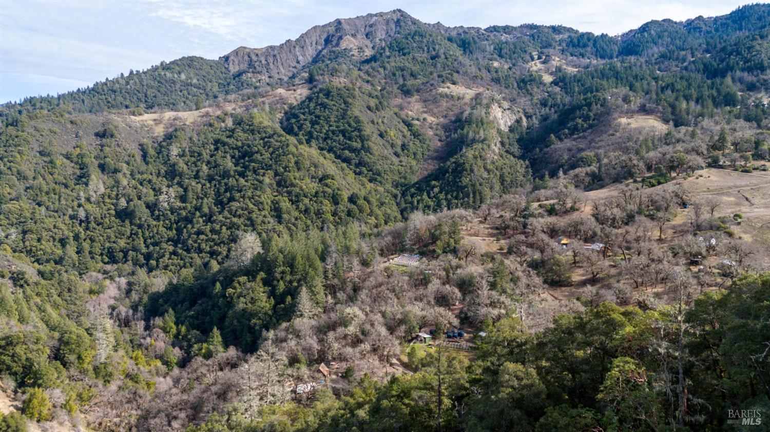 Detail Gallery Image 11 of 23 For 4450 Woodman Creek Rd, Laytonville,  CA 95454 - 2 Beds | 1 Baths