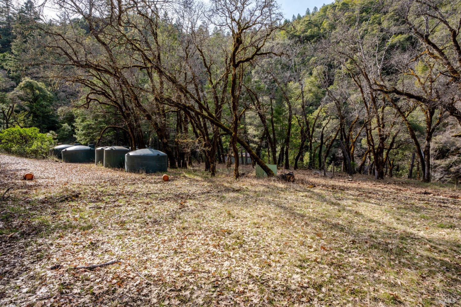 Detail Gallery Image 17 of 23 For 4450 Woodman Creek Rd, Laytonville,  CA 95454 - 2 Beds | 1 Baths